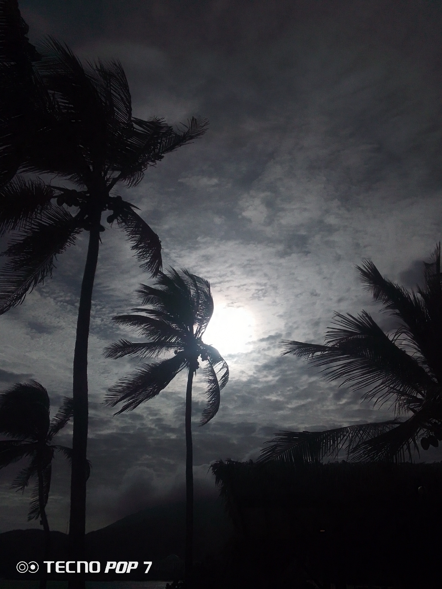 The image presents a monochromatic, night scene in Pedro González, Venezuela, dominated by silhouettes of palm trees against a cloudy sky. The sun is obscured by the clouds. In the lower portion of the photo, there is a dark, unidentifiable ground-level object, and the “TECNO POP 7” watermark.