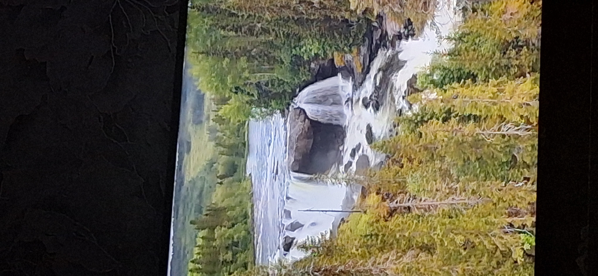 The image shows a wide waterfall cascading over a rocky ledge into a turbulent river. The surrounding landscape is lush and green, with dense forests of pine trees on either side of the river. Rolling hills covered in vegetation form the background. The sky is overcast, suggesting a cool, possibly damp, day. The scene is a natural landscape and does not depict any part of the city of Bila Tserkva, Ukraine. There are no people, objects, or actions visible in the image that would relate to an urban environment.