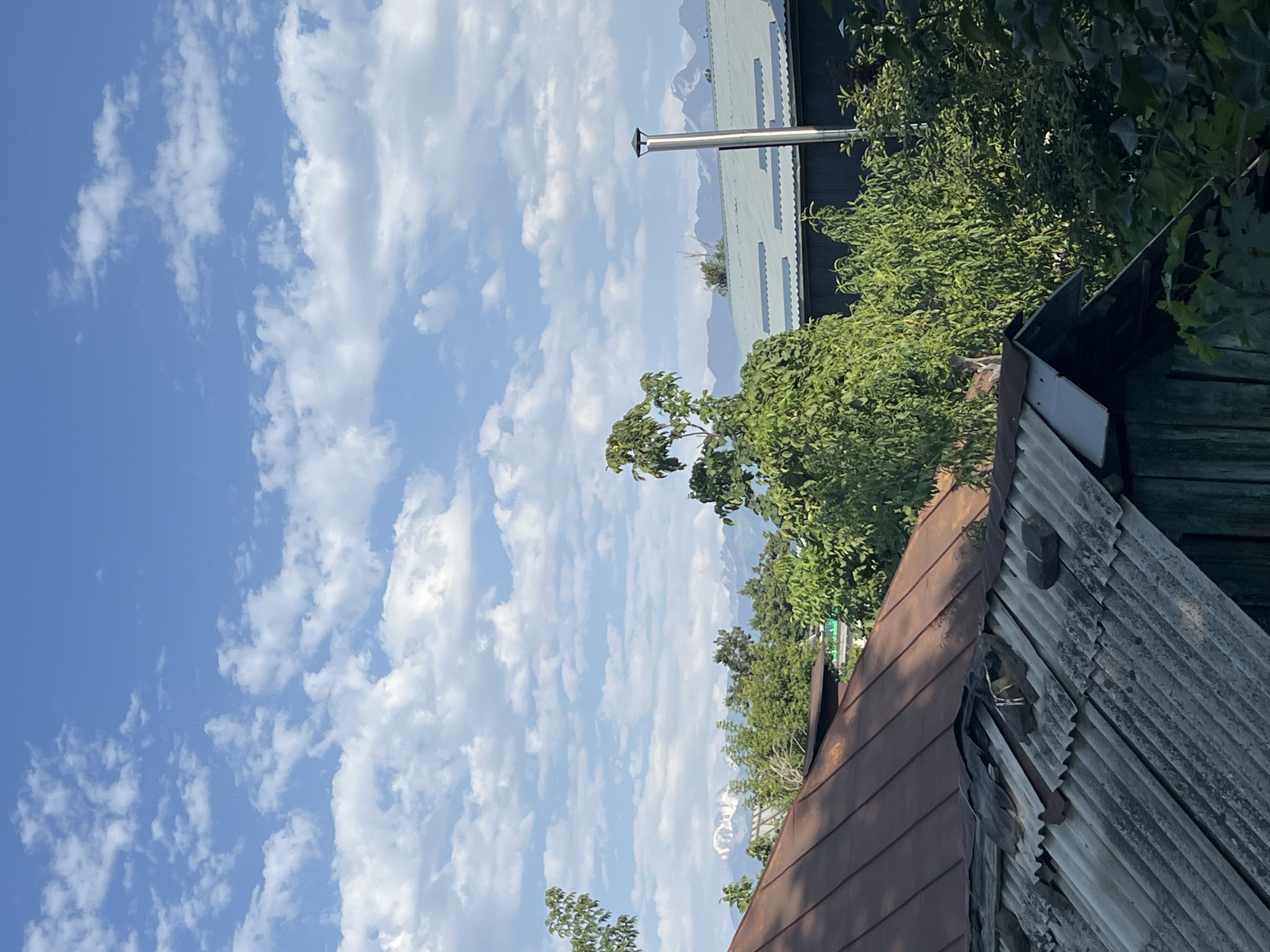 This image captures a view of rooftops and trees against a backdrop of mountains under a cloudy sky. The foreground features two distinct rooftops: the one on the left is made of dark, weathered corrugated metal, and the one in the center is a reddish-brown metal roof. Behind these, several trees with dense green foliage are visible, and further in the distance, mountain ranges with snow-capped peaks can be seen. A modern building with a light-colored metal roof and a stainless steel chimney is situated to the right of the trees. The sky is a bright blue, scattered with white, puffy clouds. The scene suggests an outdoor setting, possibly a residential area on the outskirts of Almaty, Kazakhstan, given the proximity to the Tian Shan mountains. There are no people or animals depicted in the image.