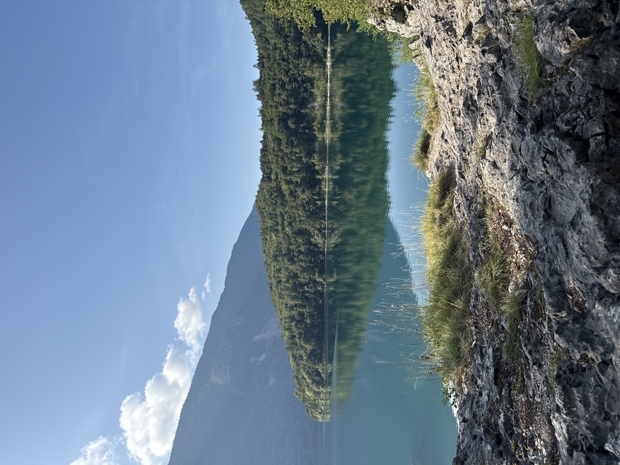 The image depicts a serene, natural landscape with a large body of clear, turquoise water reflecting the surrounding environment. The water is calm, with a gentle ripple effect visible on the surface. On the far side of the water, a dense, green forest covers the slopes of a mountain range. The mountains are covered in trees, with some bare rock faces visible in the distance. The sky above is a clear, bright blue with a few scattered white clouds. The foreground of the image consists of a rocky, uneven terrain with patches of dry grass and small plants. The rocks are grey and textured, suggesting a natural, uncultivated area. The overall impression is one of a peaceful and pristine natural environment, possibly a lake in a mountainous region. The scene is captured from a low angle, looking across the water towards the mountains and forest. There are no people or man-made structures visible in the image.