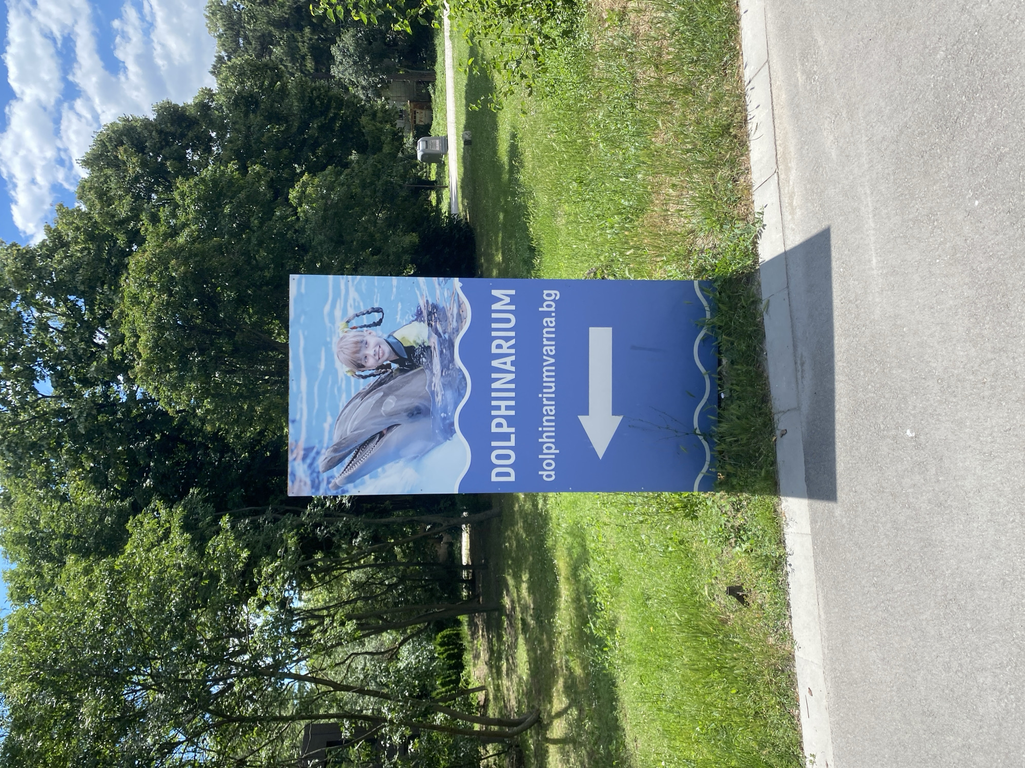 The image shows a blue sign for the Dolphinarium in Varna, Bulgaria. The sign features a photograph of a dolphin and a young girl in the water. Text on the sign reads "DOLPHINARIUM" and "dolphinariuvarna.bg", along with an arrow pointing to the left. The sign is located outdoors, next to a paved road and a grassy area with trees in the background. The sky is blue with some clouds.