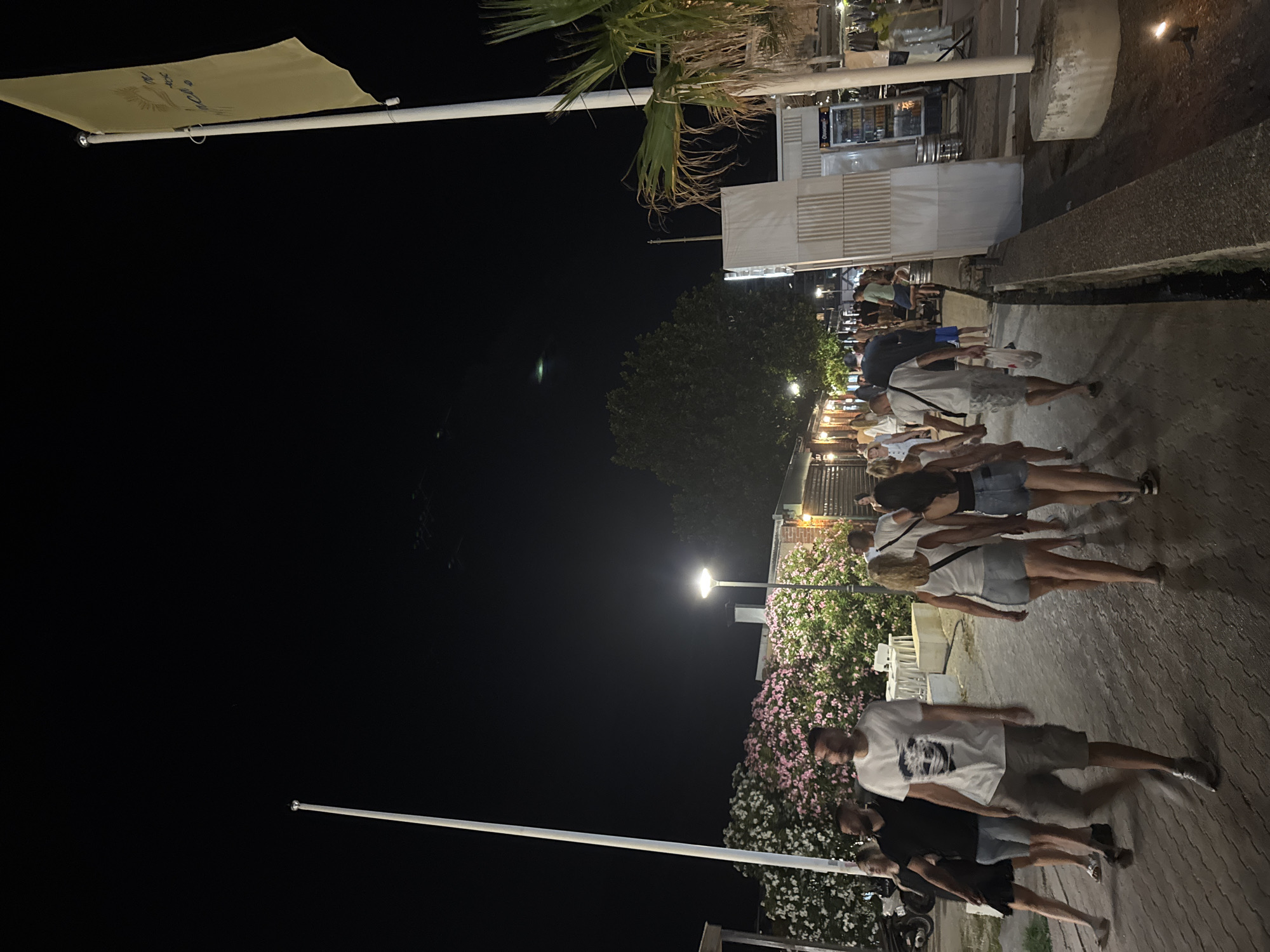 This image captures a nighttime scene along a paved walkway, likely in Boreti, Montenegro. Several groups of people are visible, seemingly walking or standing in conversation. The lighting suggests it is evening or night, with some artificial lights illuminating the area.
In the foreground, a man in a white t-shirt with a graphic print and grey shorts is walking towards the right of the frame, accompanied by another man in a black t-shirt and dark shorts. Behind them, a woman with blonde hair in a white t-shirt and denim shorts is also walking. Further back, a line of people, mostly dressed in casual summer clothing like t-shirts and shorts, are walking or standing together. Their postures and proximity suggest they are part of a group outing.
The background shows a building with a corrugated facade and some seating areas, possibly a restaurant or bar. There are also trees and flowering bushes with pink and white blossoms, adding a touch of nature to the urban setting. The walkway is paved with interlocking stones. A flag with some writing and an emblem is visible on the left, attached to a pole. Some streetlights are also present, casting pools of light. The overall atmosphere appears relaxed and social, indicating a casual evening gathering.