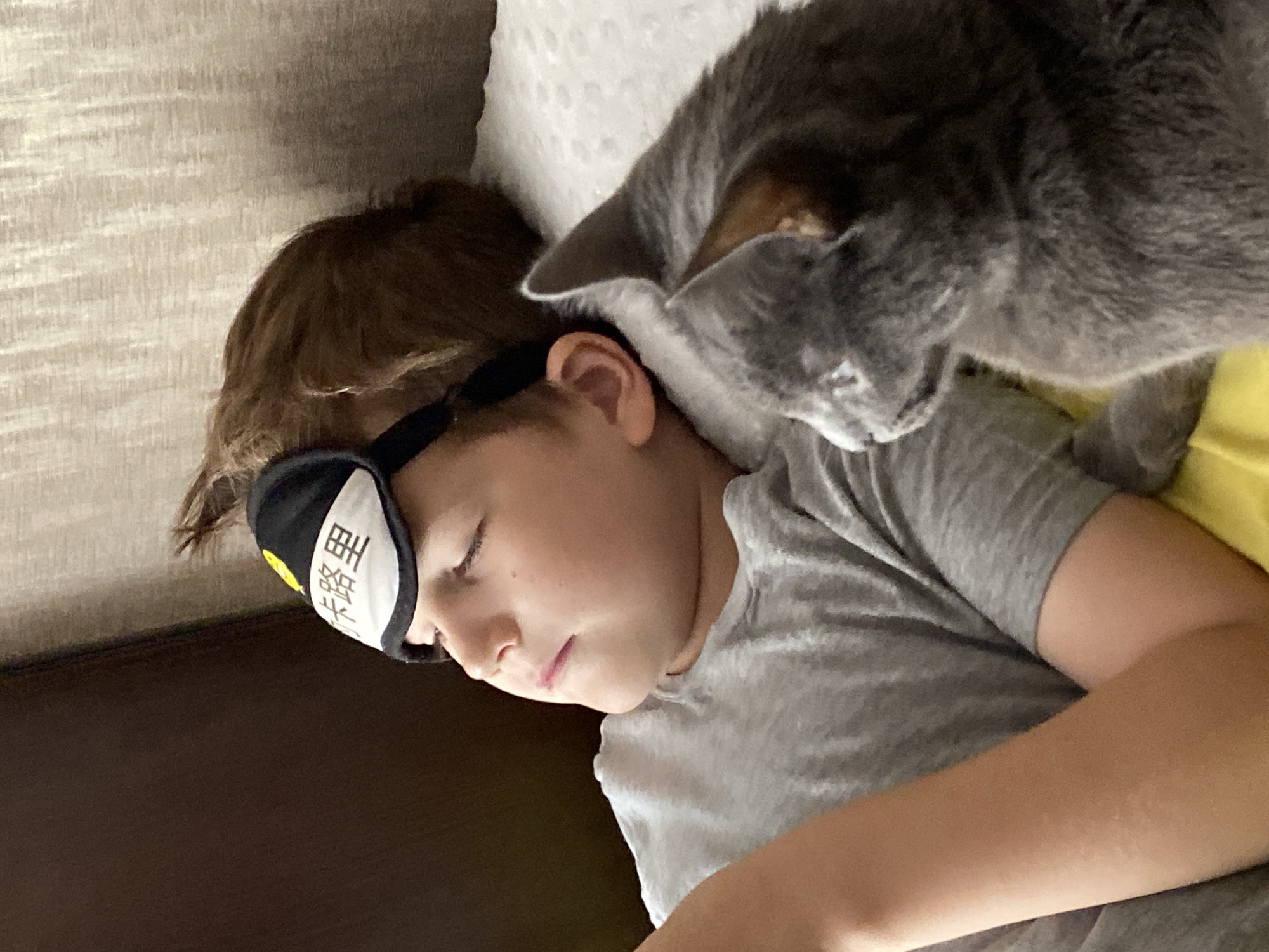 The image shows a boy with his eyes closed, wearing a black sleep mask with white Chinese characters on it. He is lying down, propped up against a brown surface, likely a headboard. A grey cat is nestled beside him, looking towards the boy. The boy is wearing a grey t-shirt and is lying on a yellow surface, possibly a blanket or sheet. The background is a textured, light-colored surface, likely a wall or upholstery. The scene appears to be indoors, in a domestic setting. The presence of Chinese characters on the sleep mask does not indicate the location in Chaikovsky, Russia.