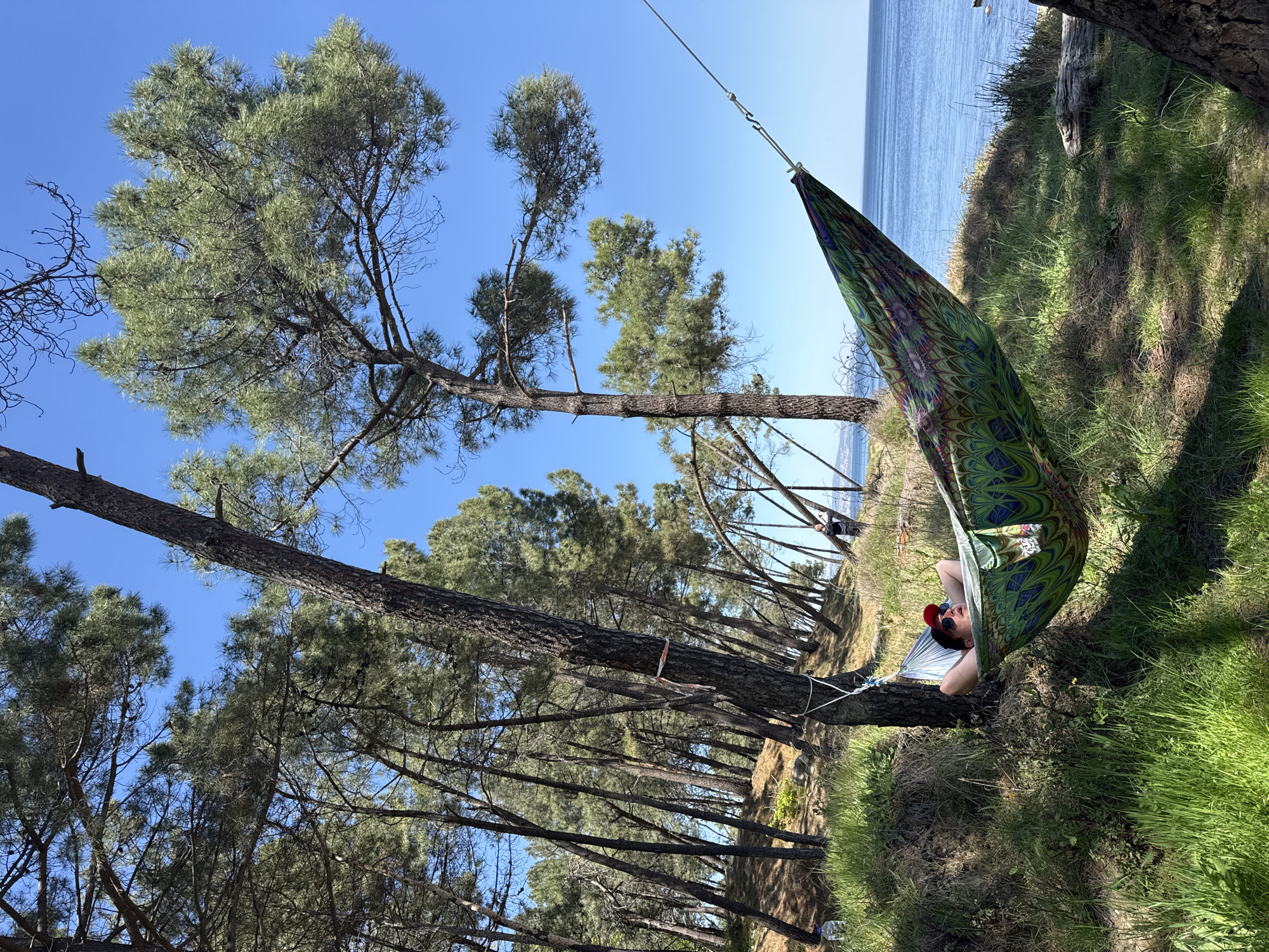 A man is relaxing in a colorful hammock strung between two trees. He's wearing a red baseball cap and sunglasses. The hammock is located on a grassy area with a view of the sea. In the background, there are many trees. The location is near Varna, Bulgaria.
