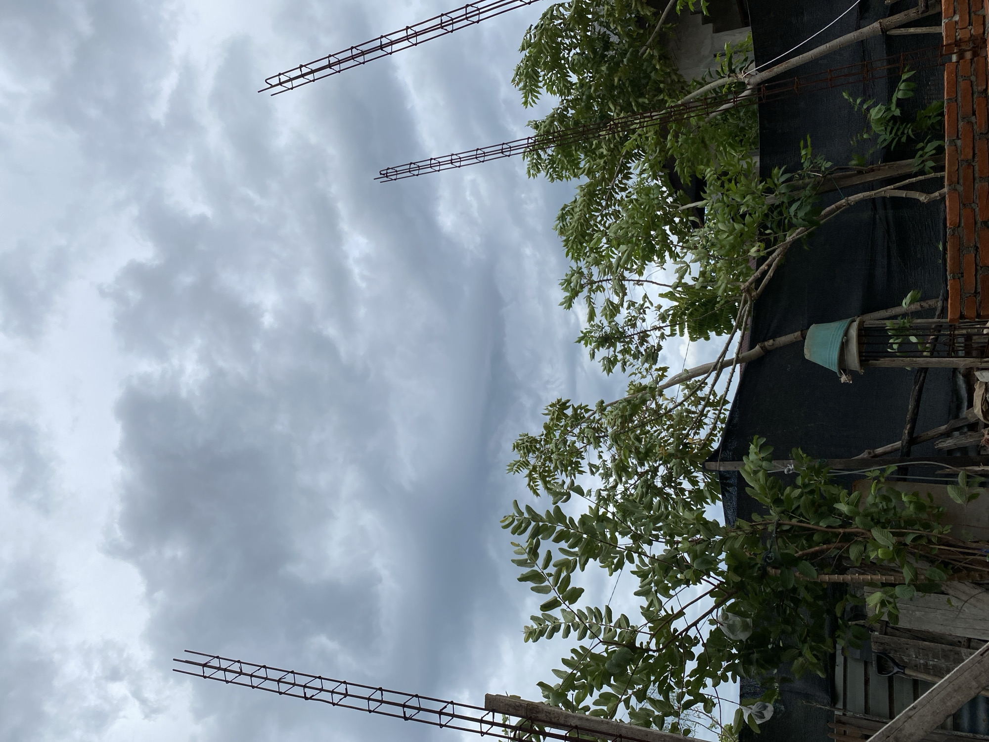 The image shows a cloudy sky over a construction site in Banda Aceh, Indonesia. Rebar cages, likely for columns, extend upwards towards the sky. Green foliage from trees and plants is visible in the foreground and midground, with some trees appearing to be fruit-bearing with plastic bags wrapped around some of the fruit. A black mesh fence runs along the perimeter of the site. Construction materials, including bricks and wooden planks, are scattered around. The overall scene suggests an ongoing construction project under an overcast sky.