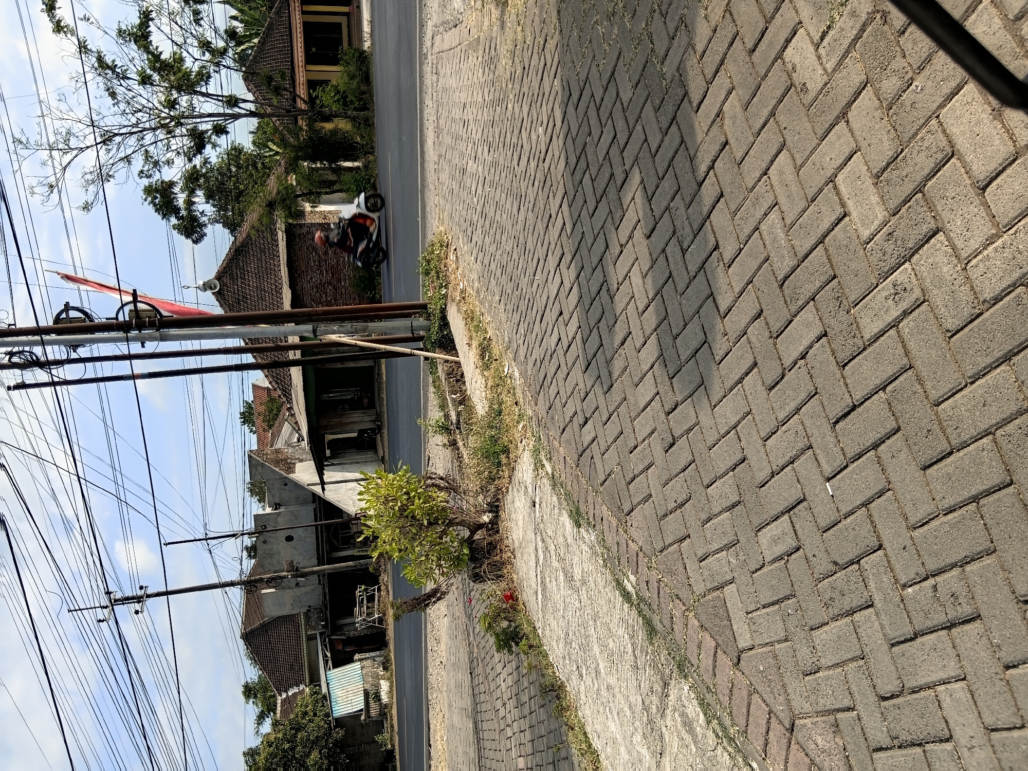 The image depicts a street scene in Tanggul Wetan, Indonesia, characterized by a paved walkway and a road. In the foreground, a herringbone pattern of gray pavers forms the walkway, with sparse dry grass growing in the gaps. A concrete curb separates the walkway from a patch of dirt and more dry grass where a small, leafy green bush is planted. Beyond this, a paved road runs horizontally across the frame. On the road, a person is riding a white and orange scooter, moving from left to right. The road is lined with buildings and trees. Overhead, a dense network of electrical wires crisscrosses the sky, supported by utility poles. The sky is partly cloudy with a blue hue. The buildings visible are mostly single-story structures with tiled roofs, some appearing weathered. The overall impression is that of a typical street in a rural or suburban Indonesian setting.
