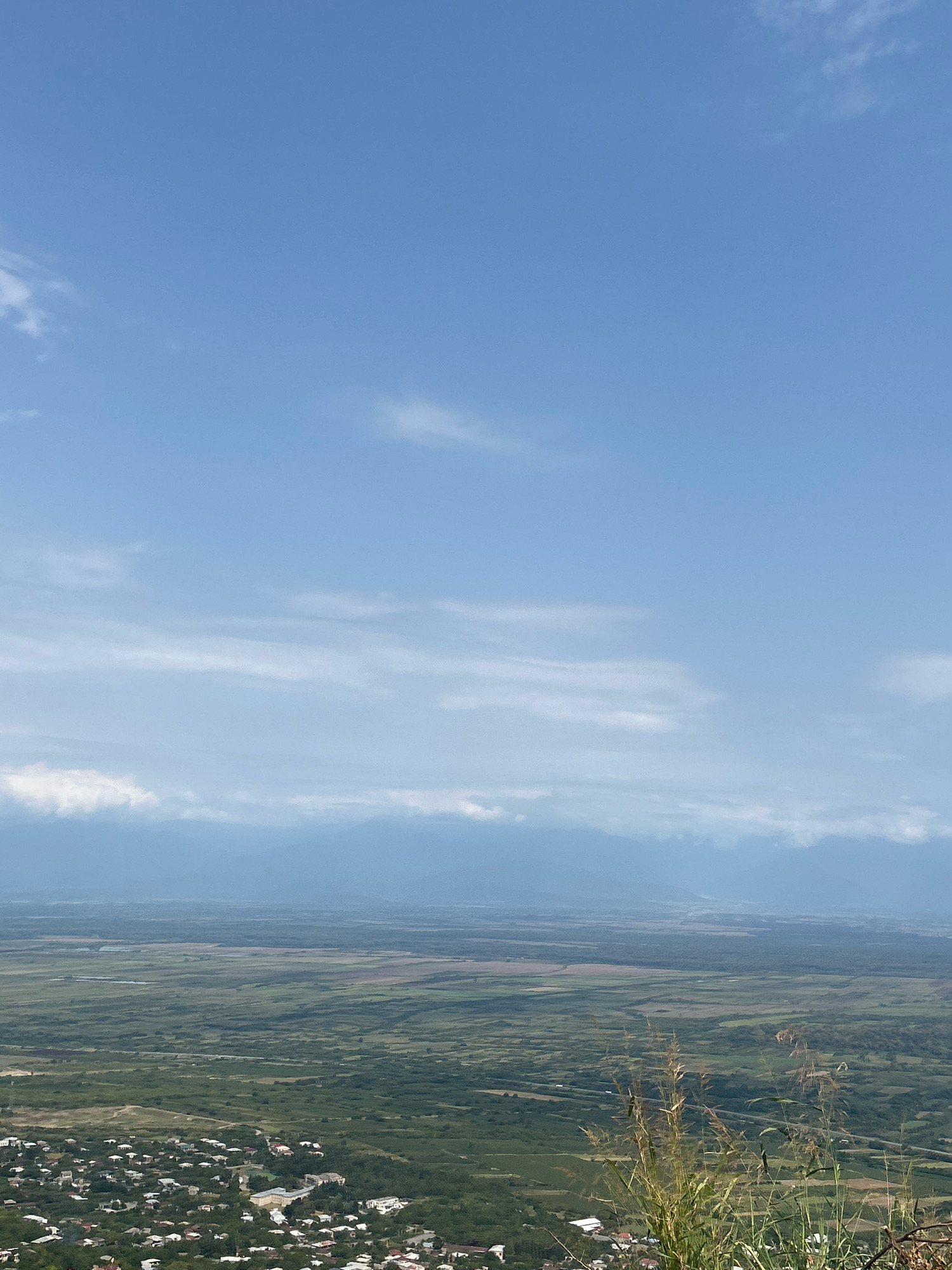 This is a high-angle, landscape photograph captured on a clear, bright day, likely from an elevated vantage point overlooking the city of Sighnaghi, Georgia. The top two-thirds of the image are dominated by a vast expanse of blue sky, with scattered, wispy white clouds. Below the sky, the horizon is marked by a distant range of hazy, blue-tinged mountains.
The middle ground reveals a sprawling valley filled with patchwork fields of varying shades of green and brown, suggesting agricultural activity. Faint lines, possibly roads or waterways, can be discerned crisscrossing the landscape. A thin strip of lighter green suggests a more distant, flatter area.
In the foreground, on the left side of the image, is a dense cluster of buildings, indicative of a town or city. The architecture appears to be traditional, with red-tiled roofs visible on many of the structures. Trees are interspersed throughout this urban area, softening the density of the construction. On the right side of the foreground, tall, dry grasses and other vegetation stand prominently, partially obscuring the view of the settlement below and adding a sense of natural wilderness to the scene. The overall impression is one of a serene, rural landscape with a settled area nestled within it, under a wide-open sky.