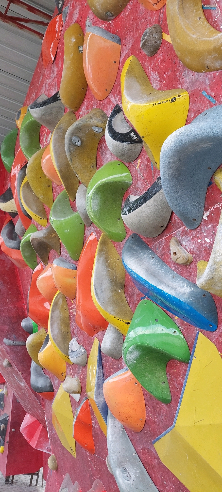 The image displays a section of an indoor rock-climbing wall, characterized by a red painted surface covered with numerous climbing holds of various shapes, sizes, and colors including yellow, green, orange, blue, and gray. These holds are bolted to the wall, creating a challenging climbing route. The perspective is a close-up, angled view of the wall, emphasizing the texture and variety of the holds. The background shows the ceiling structure of the climbing gym. There are no people visible in the frame. The scene is indoors, in a facility designed for recreational climbing.