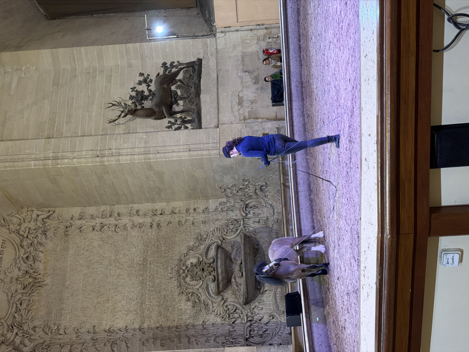 Inside a stone building, a woman with dark hair, wearing a blue top, dark pants, and a hat, is training a grey horse. The woman holds a whip. The horse is in an indoor riding ring with a sand surface. Detailed stone carvings adorn the walls, including a sculpture of deer. A few people are watching from above.