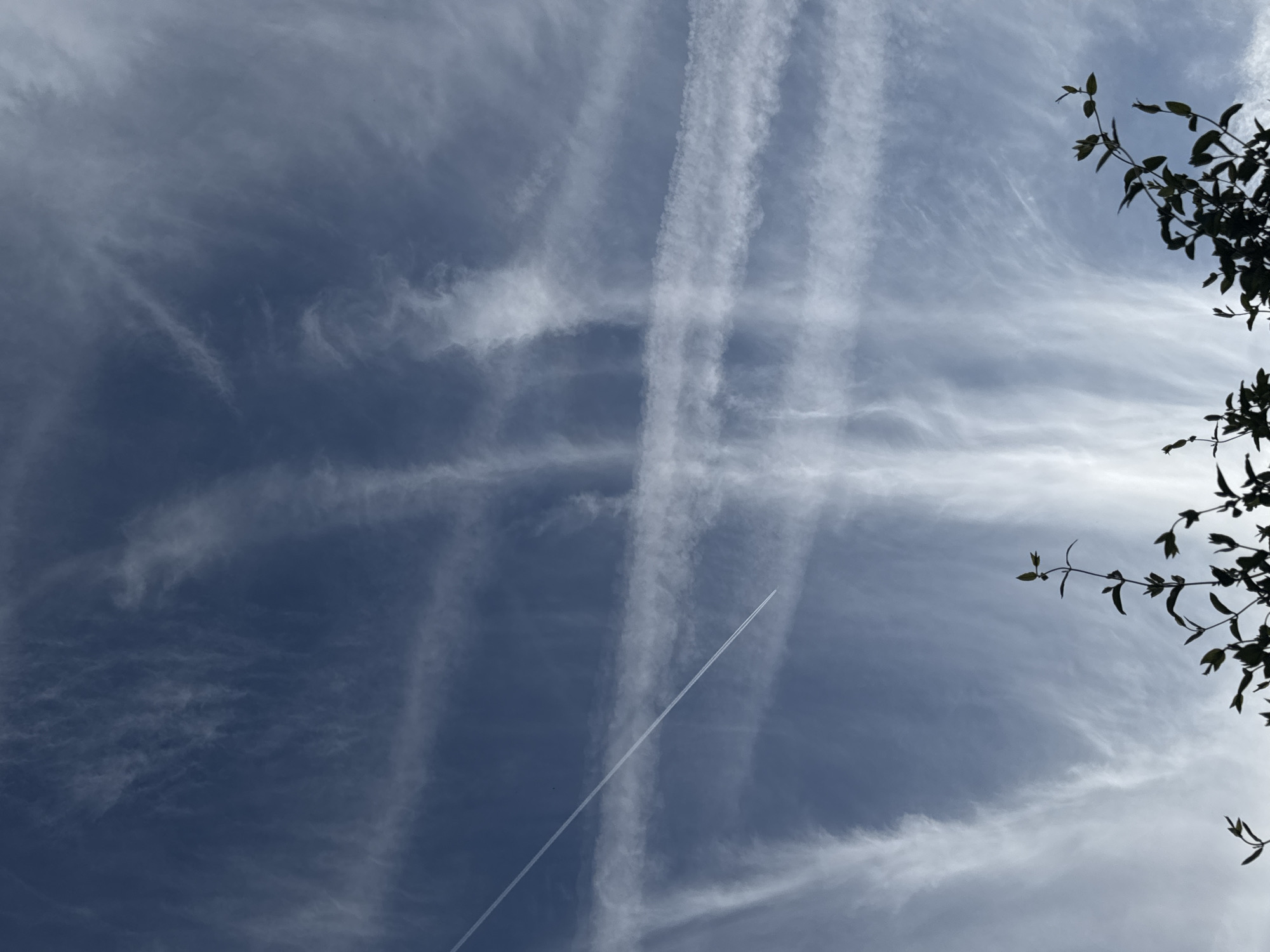 The image captures a daytime sky in Desborough, United Kingdom. The sky is predominantly blue with whispy cirrus clouds and multiple contrails from aircraft. Some contrails are faint, others are more prominent, appearing as thick white lines. One contrail bisects the scene diagonally. Silhouetted foliage from a tree or shrub occupies the upper right corner of the frame. There are no people visible.
