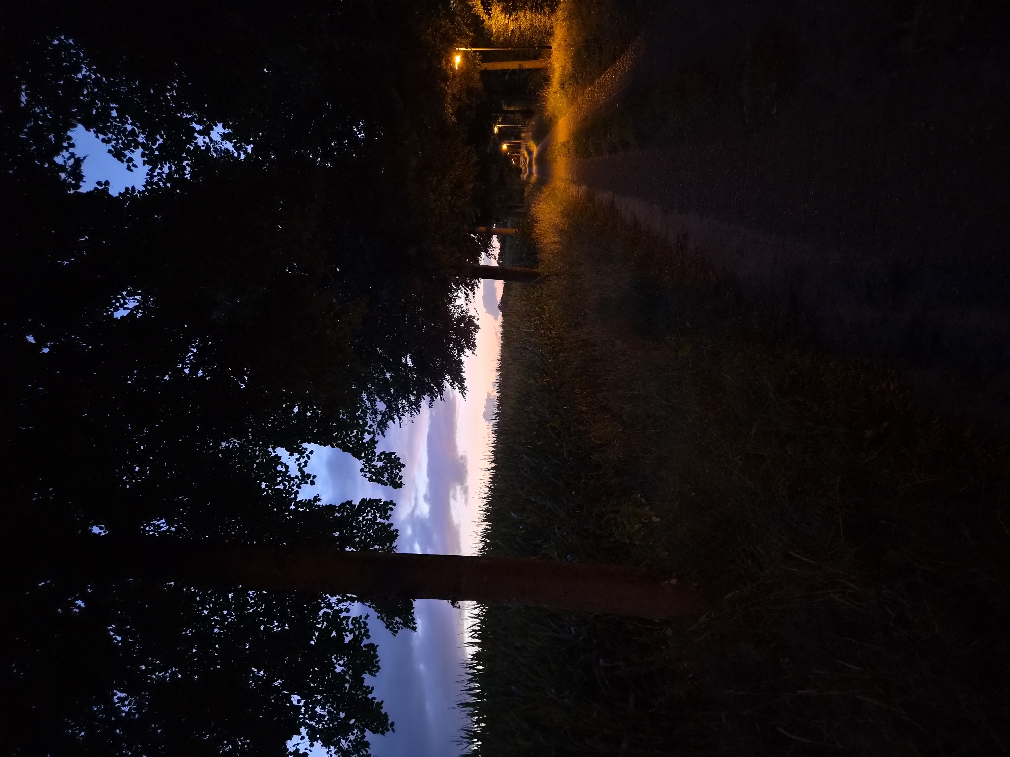 The image depicts a tree-lined path in Schiffdorf, Germany, at dusk. The path is unpaved and curves into the distance, illuminated by a series of streetlights on the right side. On the left, a cornfield is visible, with tall stalks extending across the frame. The sky above is a gradient of deep blue near the top, transitioning to purple and pink hues closer to the horizon, suggesting the last light of sunset. Silhouetted trees frame the scene, their dark foliage contrasting with the twilight sky. The overall atmosphere is serene and slightly melancholic.