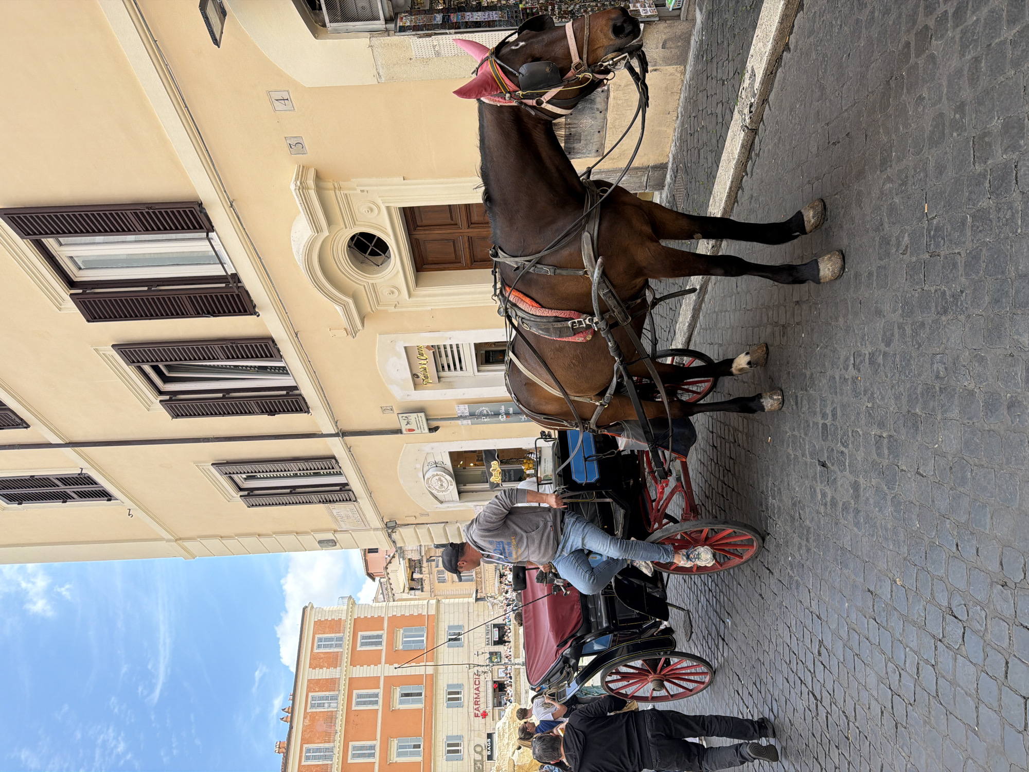 The image depicts a lively street scene in Rome, Italy, during bright daylight under a clear blue sky dotted with wispy white clouds. The central focus is a dark brown horse, wearing a harness with distinctive pink ear covers, pulling a black carriage with prominent red spoked wheels. A man, likely the driver, is seated in the carriage, wearing a grey hoodie, blue jeans, and a black baseball cap.
The street is paved with characteristic grey cobblestones, and several pedestrians are visible, both near the carriage and further in the background. The surroundings consist of multi-story buildings. To the left, a light yellow/cream-colored building features multiple windows with dark brown louvered shutters, some of which are open. Address numbers "3" and "4" are visible on its facade. In the background, an orange-colored building with numerous windows adds to the urban landscape.
Visible text includes a street sign fragment that appears to read "PIAZZA DI ARAC", likely indicating "Piazza d'Aracoeli", a known square in Rome. On the ground floor of the orange building, signs for "Farmacia" (Pharmacy) and "TRAVEL" are clearly visible. A partial "BAGS" sign can also be seen in the lower left portion of the image. The scene captures a typical tourist-oriented experience in a historic European city.