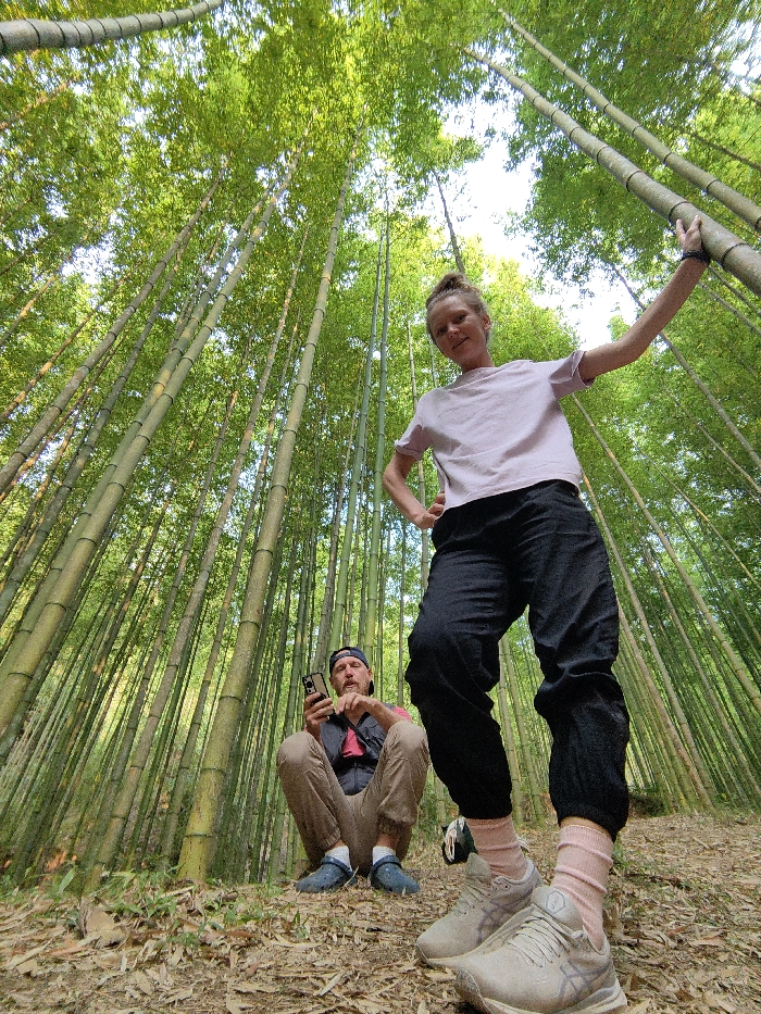 The image captures two individuals within a dense bamboo forest in Mù Cang Chải, Vietnam, from a low-angle perspective looking upwards. In the foreground on the right, a fair-skinned female with light hair styled in a bun stands, facing the camera with a slight smile. She is dressed in a light pink short-sleeved t-shirt, loose-fitting black pants, pink crew socks, and light grey athletic shoes. Her left arm is bent, hand on her hip, while her right arm is extended upwards, grasping a vertical bamboo stalk. To her left and slightly behind, a male is positioned in a squatting posture on the ground. He has a beard and wears a reversed red baseball cap, a red t-shirt layered under a dark vest, khaki pants, and dark blue Crocs. He is holding a black smartphone with a clear case in both hands, focused on the device. The ground is covered with fallen brown bamboo leaves and minimal green vegetation. Numerous tall, slender green bamboo stalks with vibrant foliage dominate the background and extend upwards, forming a dense canopy that allows bright natural light to filter through.