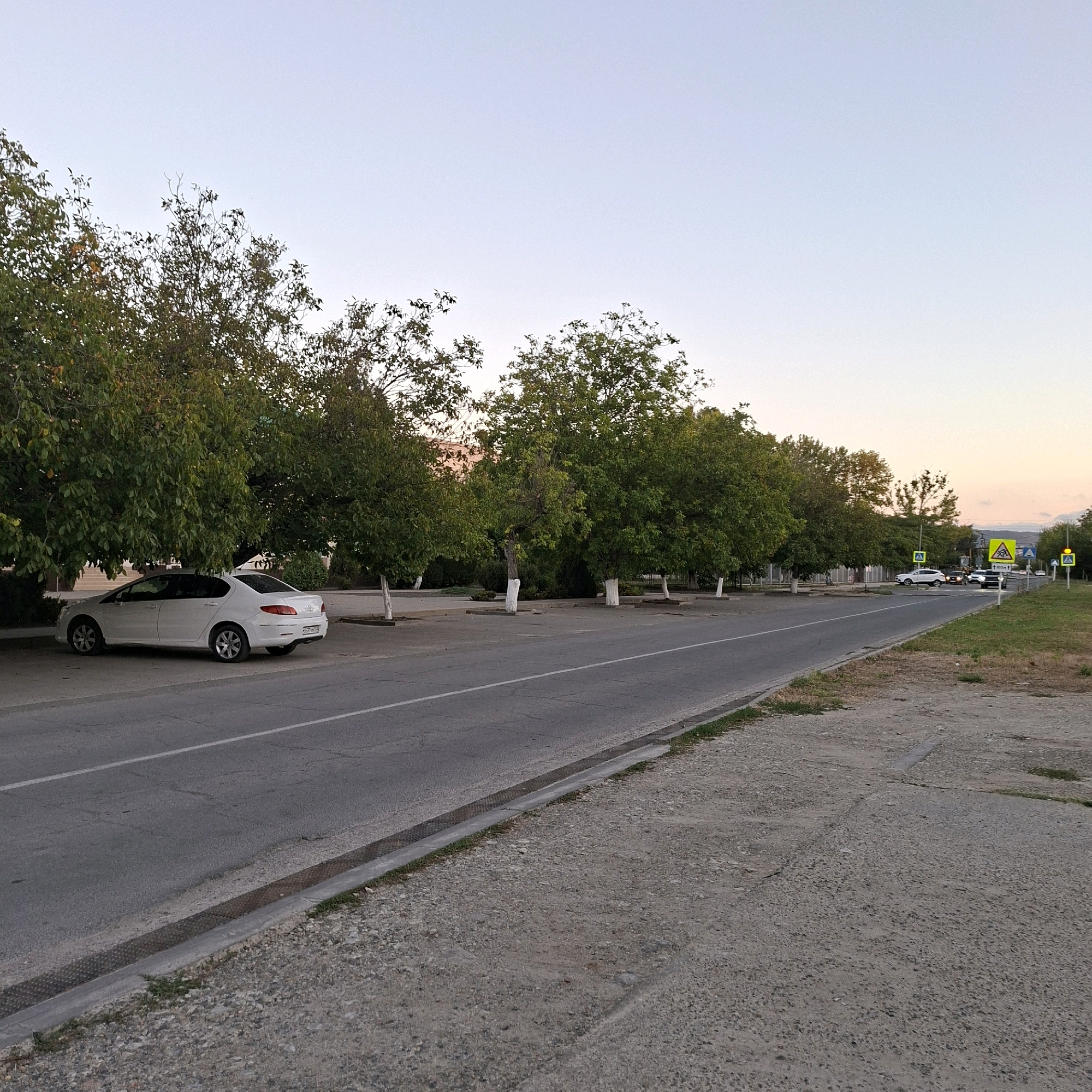 The image depicts a street scene in Anapskaya, Russia, under a clear, pale sky. A white sedan is parked on the left side of the road, beneath the canopy of mature green trees lining the street. The road itself is asphalt, with a white dividing line. The trees have white-painted trunks, a common practice in Russia for aesthetic and pest-control reasons. Further down the road, traffic signs are visible, including a pedestrian crossing sign and a speed limit sign. Several other cars are present on the road in the distance, moving away from the camera. The area beside the road is a gravel and concrete expanse. The overall atmosphere suggests a quiet, daytime setting in a residential or semi-urban area.