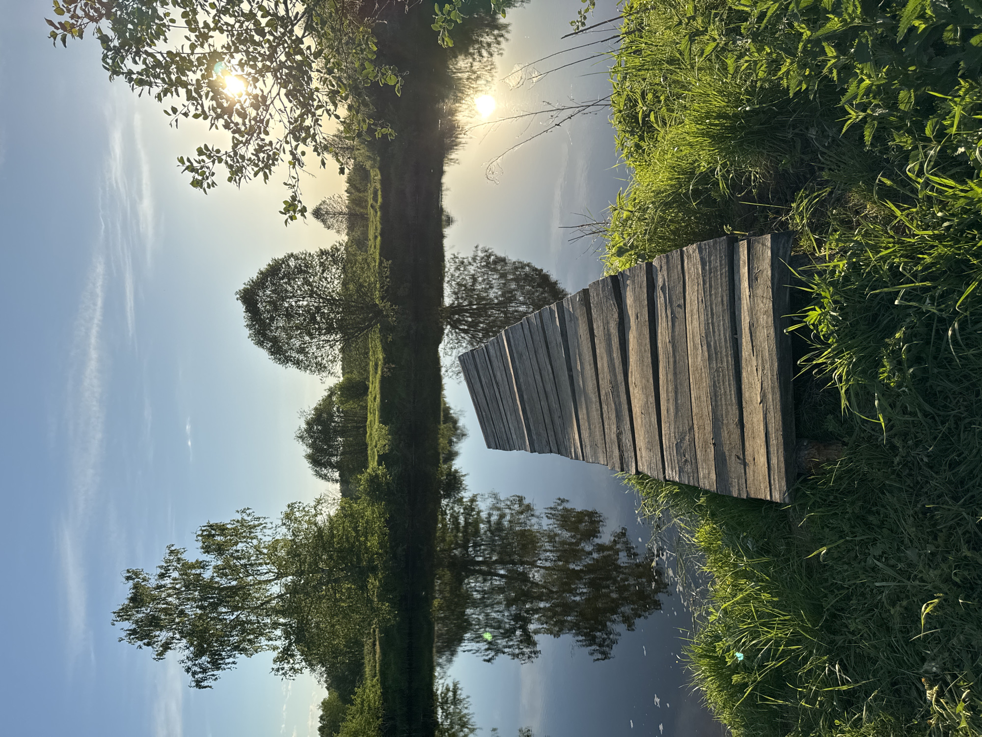 A wooden pier extends into a calm body of water. Lush green grass and vegetation border the pier. Trees line the opposite bank of the water, their reflections visible in the surface. The sun shines brightly through the trees, casting a warm glow on the scene. The sky is a clear blue with a few wispy clouds. The image has been rotated. There is no evidence to suggest the location is Egorii, Russia.
