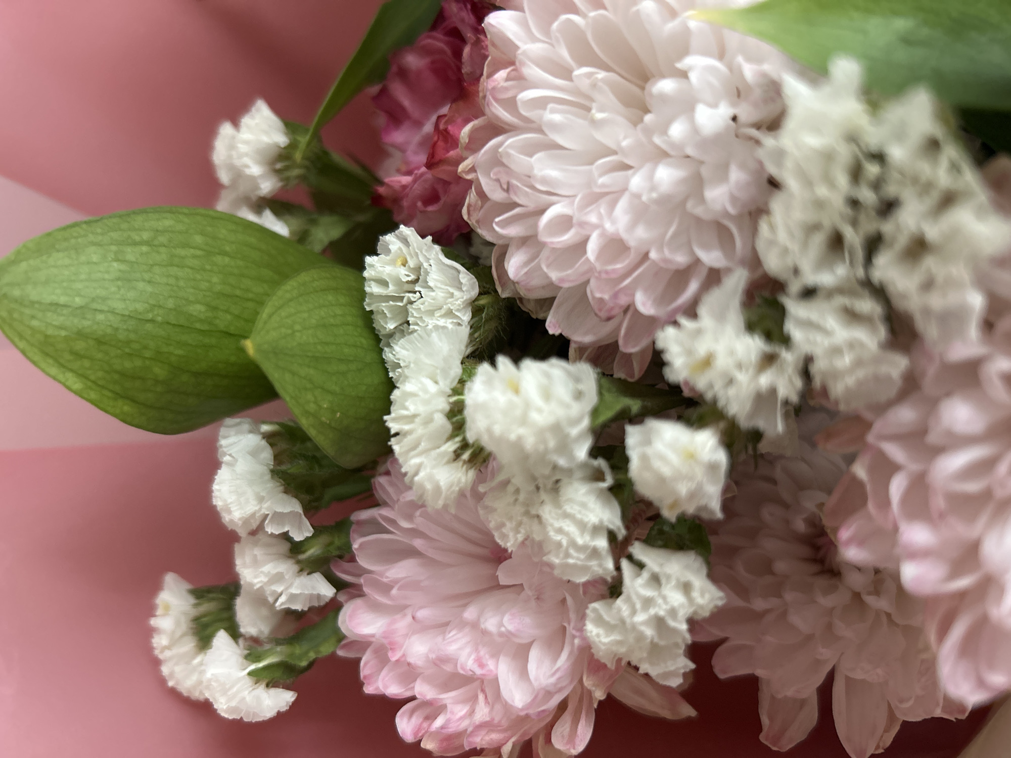 The media file is a close-up, shallow depth-of-field photograph of a bouquet of flowers. The primary subjects are several light pink chrysanthemums and small white flowers, possibly statice. The flowers are arranged with prominent green leaves, one of which is large and heart-shaped with visible veins. The background is a soft pink surface, likely wrapping paper or a solid colored backdrop.
There is no discernible activity or event taking place; the image appears to be a still life composition. Notable details include the delicate, layered petals of the chrysanthemums and the textured, ruffled appearance of the white flowers. The lighting is soft, suggesting an indoor setting or diffused natural light, and there are no clear indicators of the time of day or specific weather conditions. The location context provided is Angarsk, Russia, but there are no visual cues within the image to confirm this location. No text is visible in the media file. The overall mood conveyed is one of gentle beauty and floral arrangement.