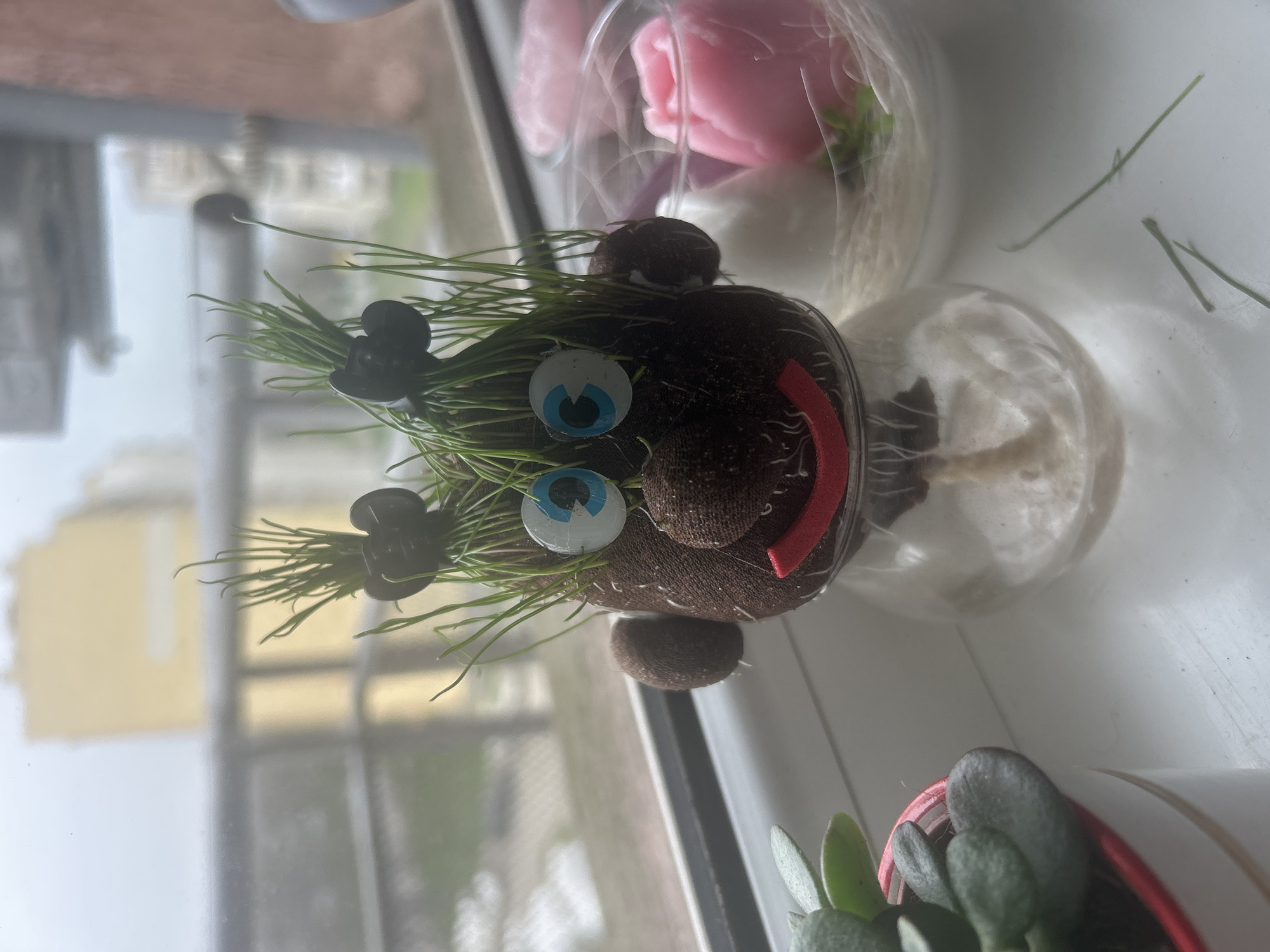 The image shows a grass head toy with googly eyes and a red mouth, with sprouts of green grass growing out of its head. Two small black hair clips are attached to the grass sprouts. The toy sits on a windowsill, next to a clear plastic container with a pink rose inside, and a small potted succulent. The blurred background visible through the window includes buildings, suggesting an urban environment. Based on the visual evidence and the prompt's additional location information, the photo was likely taken in Burgas, Bulgaria.