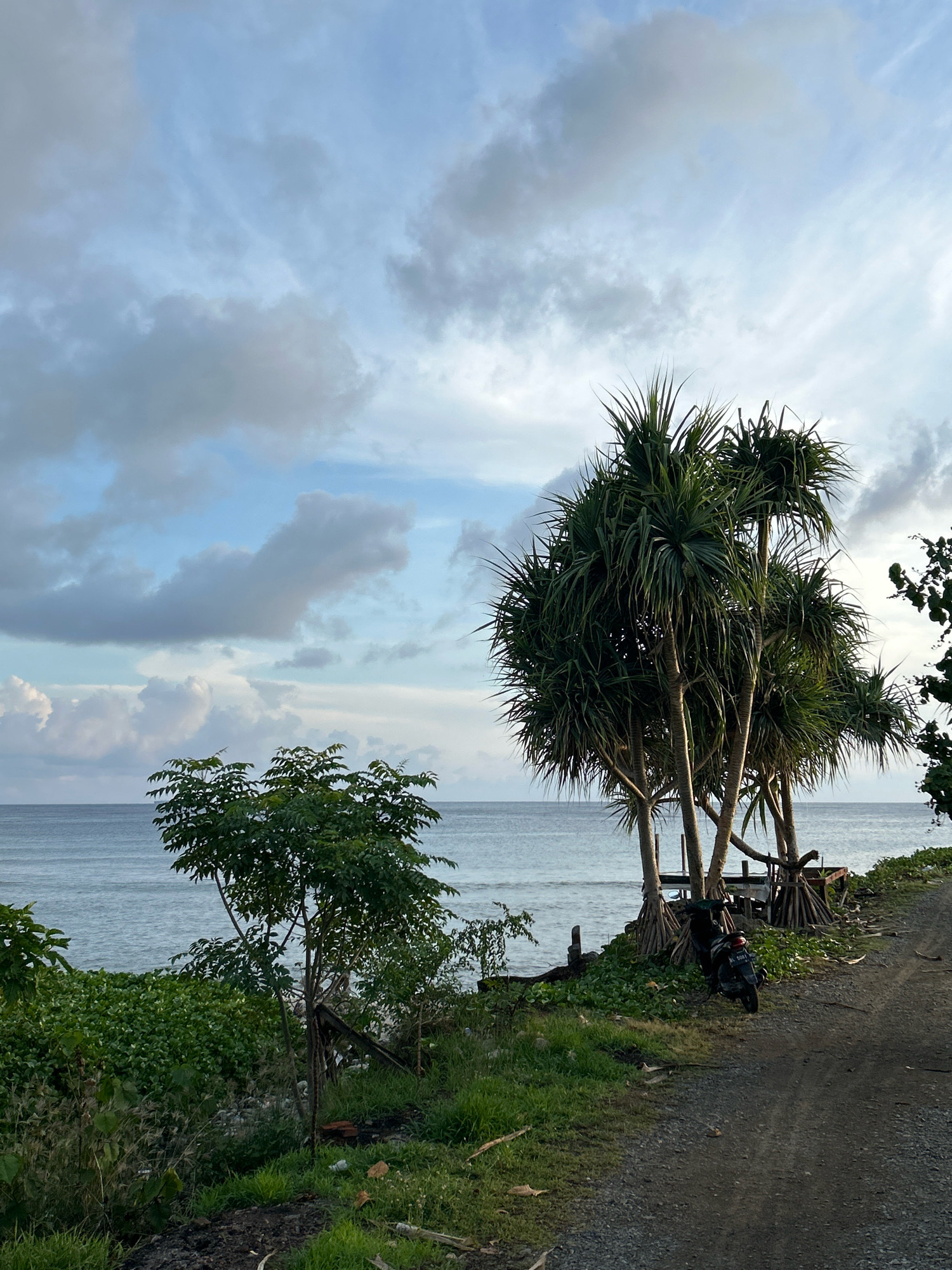 An outdoor, eye-level, medium shot captures a coastal scene with a dirt road in the foreground and the ocean in the background under a cloudy sky. The road curves from the lower right to the middle of the image, with sparse green vegetation growing along its edges. To the left of the road, lush green bushes and a small tree with green leaves are visible, bordering the calm, blue ocean. In the middle ground, a cluster of palm-like trees with distinctive aerial roots stands on a grassy embankment. A parked black scooter is situated among these trees, facing away from the viewer. The ocean stretches across the horizon, meeting a sky filled with a mix of white and gray clouds. The overall atmosphere suggests a tranquil, perhaps remote, coastal location in Sabang, Indonesia.