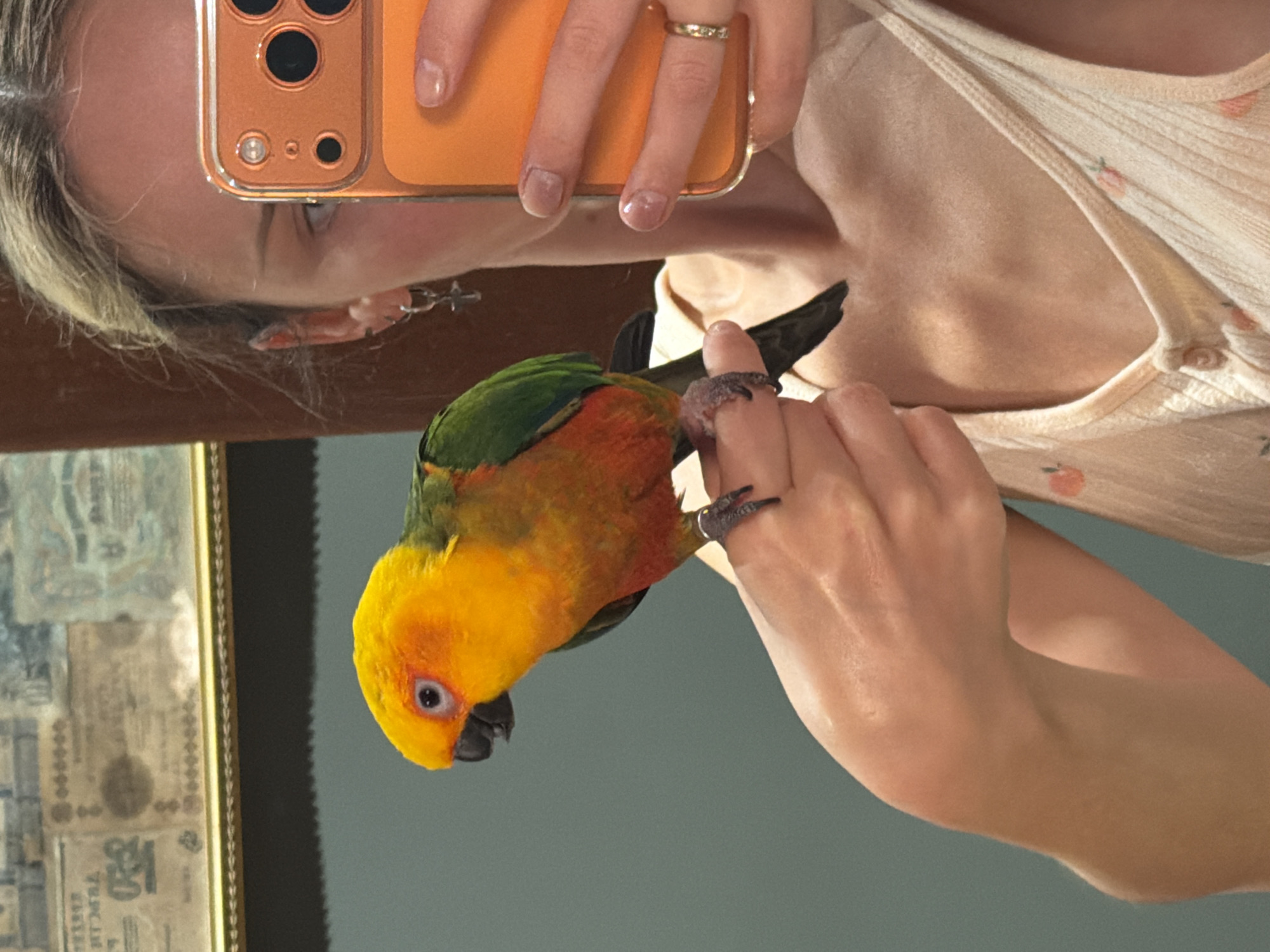 A woman is holding up a phone with an orange case in what appears to be a mirror selfie. A colorful parrot, predominantly yellow with orange and green feathers, is perched on the fingers of her hand. The woman is wearing a light-colored top with small peach-like patterns. Part of a framed picture or artwork can be seen to the left. The location is not discernible from the visual information provided.