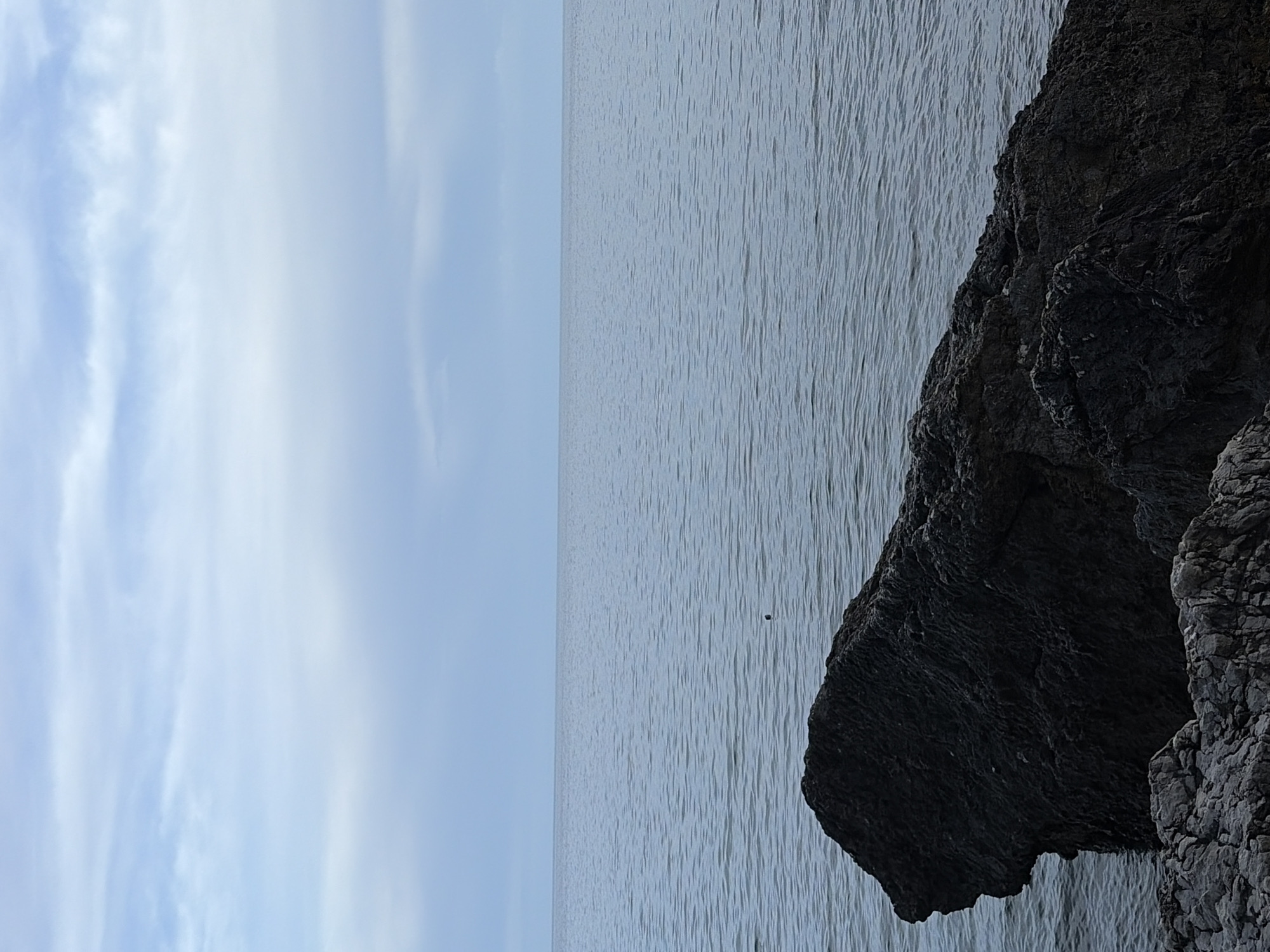 A long, vertical photograph depicts a cloudy sky, a body of water, and a rocky outcrop. The sky, located on the left side of the frame, is primarily light blue with streaks of white clouds. To the right of the sky is a large body of water, possibly the sea. It is relatively calm with subtle ripples on the surface. In the upper-right corner and extending down the right side of the frame is a dark, rough rocky outcrop. The rocks are textured and appear to be part of a larger coastal formation. There is a small, dark object floating in the water, situated near the middle of the image. The image composition and the features suggest the location may be along the coast of Budva, Montenegro, known for its rocky shores and coastal scenery.