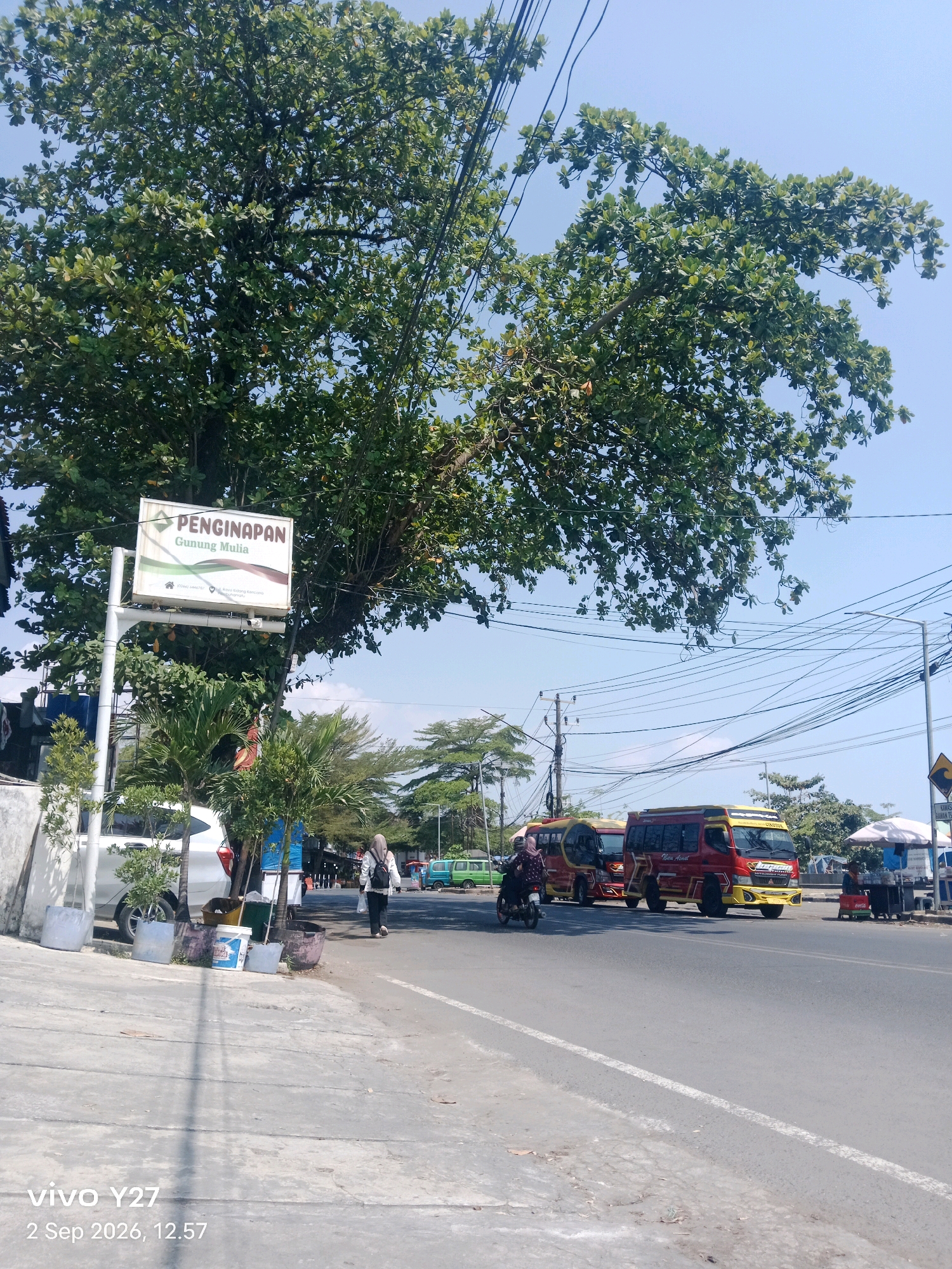 The image depicts a roadside scene in Palabuhanratu, Indonesia, on September 2, 2026, at 12:57 PM. The weather appears clear and sunny with a blue sky. The foreground shows a concrete walkway with shadows cast from overhead. A sign for "PENGINAPAN Gunung Mulia" (Gunung Mulia Lodging) is visible on the left, with a phone number and address listed.
To the right of the walkway, a road runs parallel, with several vehicles present. Two red and yellow minibuses are parked on the side of the road, with one appearing to be in motion. A person is riding a motorcycle in the left lane, heading towards the viewer. Further down the road, a woman wearing a hijab and carrying a backpack is walking away from the viewer on the sidewalk. Several potted plants and some refuse bins are placed along the edge of the walkway.
In the background, a large tree with dense green foliage dominates the upper left portion of the image, with numerous overhead power lines crisscrossing the sky. Other trees and buildings are visible further down the road, along with a small stall with a white umbrella. The overall impression is of a typical day in a bustling Indonesian town.
