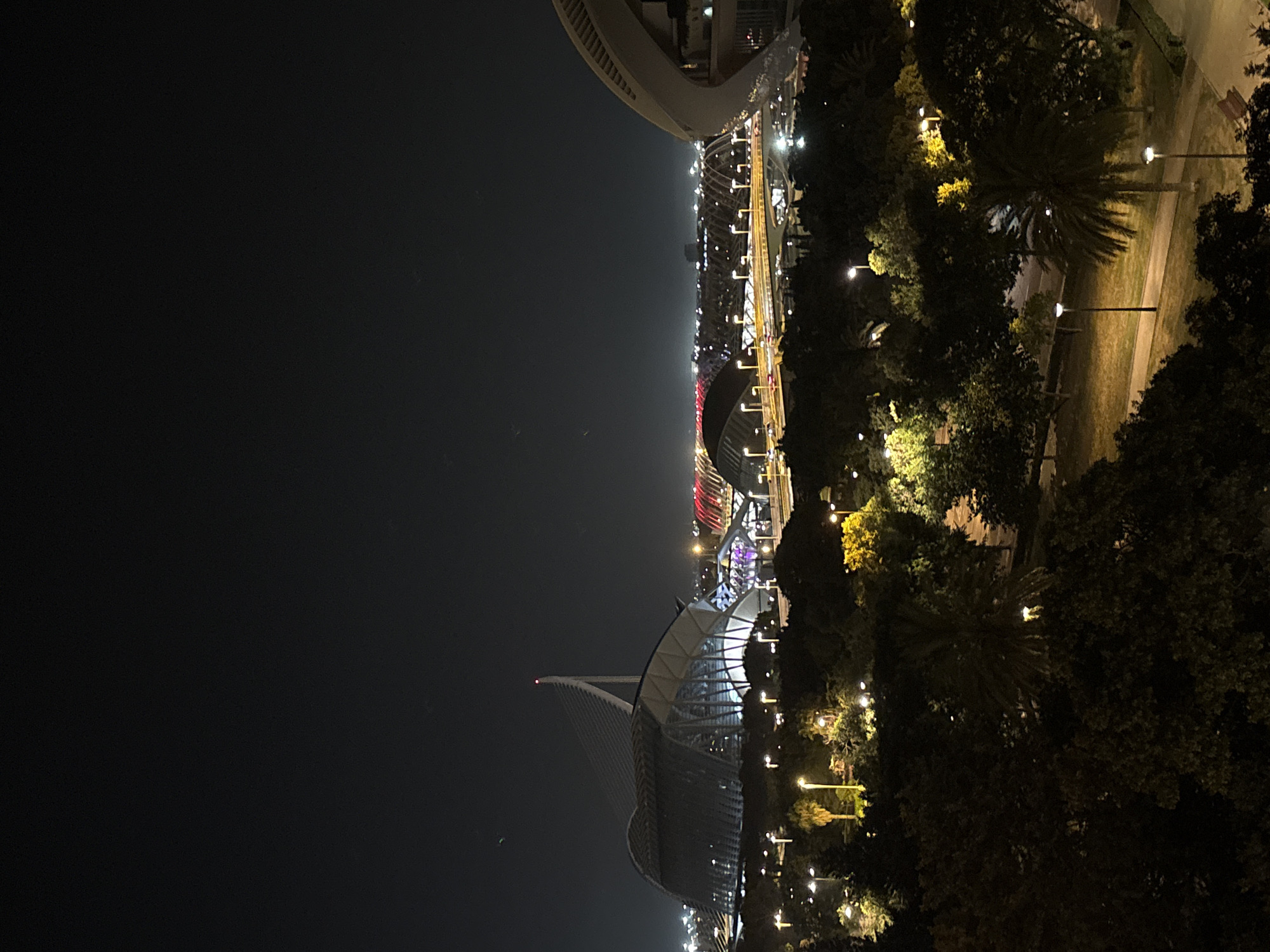 This is a nighttime, wide-angle, outdoor, eye-level shot of the City of Arts and Sciences complex in Valencia, Spain. The scene is dominated by the dark night sky, with the illuminated structures of the complex providing the main focal point.
On the left, the prominent building is the Palau de les Arts Reina Sofía, with its distinct sail-like roof structure. To its right, in the middle ground, the Hemisfèric is visible with its eye-shaped structure, and beyond that, a series of illuminated arches suggest the presence of the L'Oceanogràfic and the Agora. The architecture is characterized by its futuristic and organic forms, illuminated with white and colored lights. A large, curved white structure, likely part of another building within the complex, is visible on the far right.
The foreground and middle ground are filled with a park-like setting, featuring numerous trees, some with palm fronds. Streetlights and pathway lights illuminate the park, casting a warm glow on the grass and walkways. The lights are spaced along pathways that wind through the greenery. There are no people or vehicles clearly visible in the frame. The overall impression is one of architectural grandeur set within a carefully landscaped urban park at night.