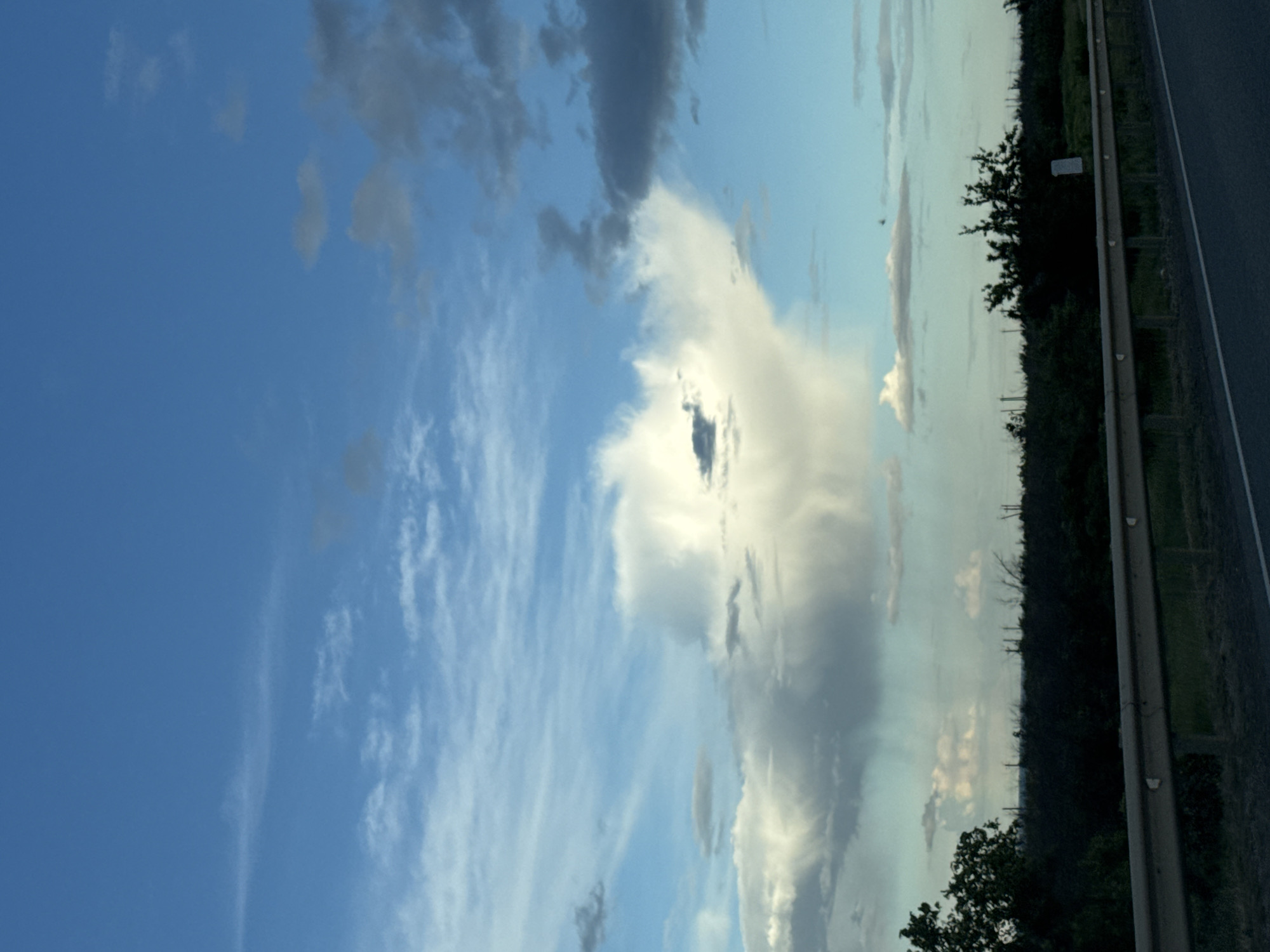 The image, oriented in a landscape format, displays an expansive sky above a roadside landscape. The upper portion of the frame is dominated by a clear blue sky interspersed with various cloud formations. Prominent among these are bright, voluminous cumulus clouds, with one large cloud mass in the center appearing particularly brilliant and illuminated by sunlight. Darker, grey clouds are also scattered across the sky, alongside delicate, wispy cirrus clouds stretching horizontally.

The lower third of the image shows a grey asphalt road or highway section on the far right, bordered by a metallic guardrail that extends across the frame. Adjacent to the guardrail is a dense line of dark green trees and bushes, forming a natural horizon. Faint silhouettes of taller, possibly bare trees or utility poles are visible above this tree line in the distance. A small, rectangular white sign or marker is partially obscured within the foliage near the guardrail, but any text on it is illegible.

The lighting suggests late afternoon or early evening, with a soft glow on the clouds indicating the sun is lower in the sky. The overall scene is tranquil, devoid of people or direct activity, and highlights the vastness of the sky and natural environment alongside a transportation route.