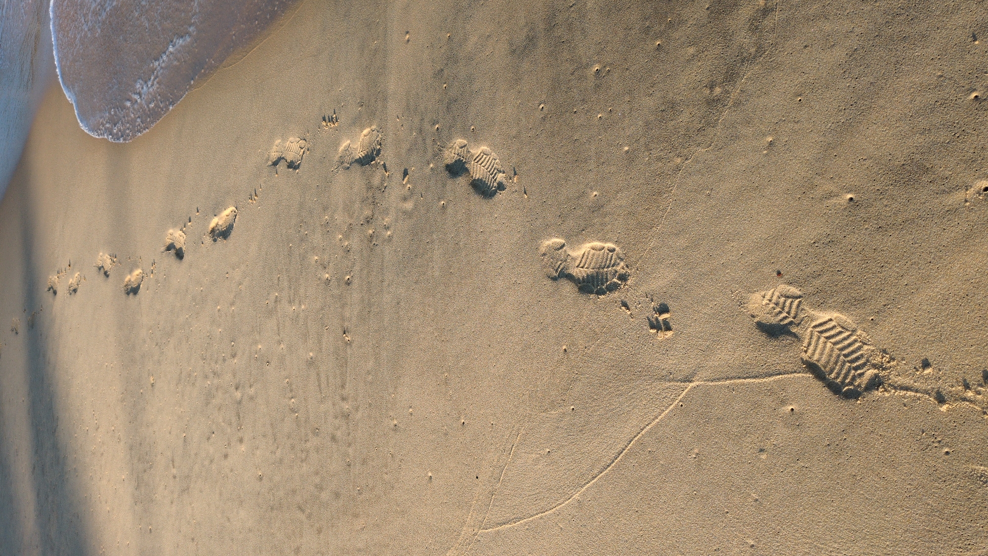 The scene depicts a sandy beach shoreline in East Quy Nhon Ward, Vietnam. A linear trail of approximately ten individual shoe prints is imprinted into the light brown, fine-grained sand, extending diagonally from the lower left to the upper right of the frame. Each print displays a distinct, patterned sole impression, consistent with a ribbed or chevron-designed shoe. The prints are well-defined, indicating recent formation. To the right of the footprint trail, the ocean meets the shore, marked by a thin, white line of foam from a receding wave. The water at the immediate shoreline appears slightly murky. The sand exhibits minor surface irregularities and a faint linear depression in the lower-left area. A dark, undefined shadow occupies the upper-left corner of the frame, cast from an unseen object or feature.