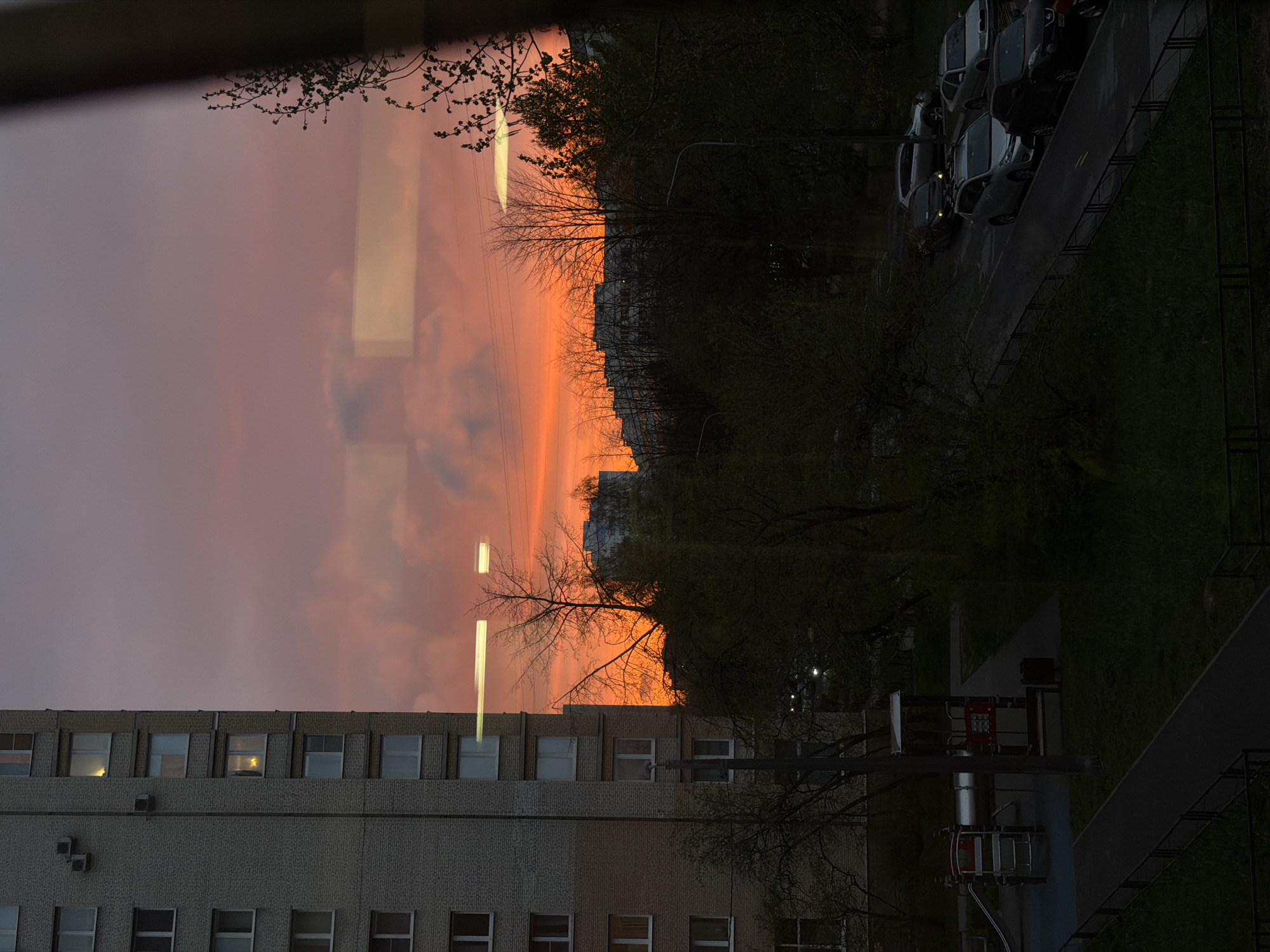 The image depicts a view from a window in Saint Petersburg, Russia, during a colorful sunset. The sky is a blend of pink and orange hues. The reflection of the sunset can be seen in the building across the street, which is a multi-story apartment complex with rows of windows. Bare tree branches and foliage are silhouetted against the vibrant sky. Part of a street with parked cars and green grassy areas can be seen on the right. In the foreground is the metal architecture, presumably part of the balcony.
