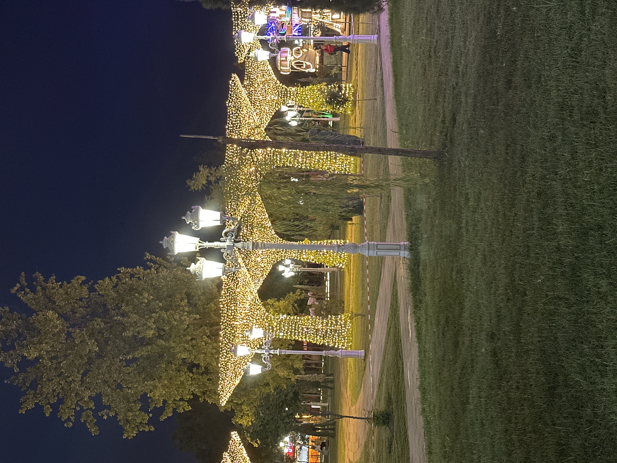 This image captures a festive nighttime scene in Tashkent, Uzbekistan, likely from a park or public space decorated with numerous strings of golden lights. The lights form arched structures and wrap around trees, creating a magical atmosphere. Several ornate lampposts with multiple lights stand prominently, illuminating the pathways and grassy areas. In the background, a Ferris wheel and other amusement park-like attractions are visible, also adorned with lights. A few individuals are present in the scene, with one person walking in the middle ground and others seated in the far background, suggesting a public gathering or event. The overall environment is that of a well-maintained outdoor space with lush green grass and mature trees, set against a dark night sky.