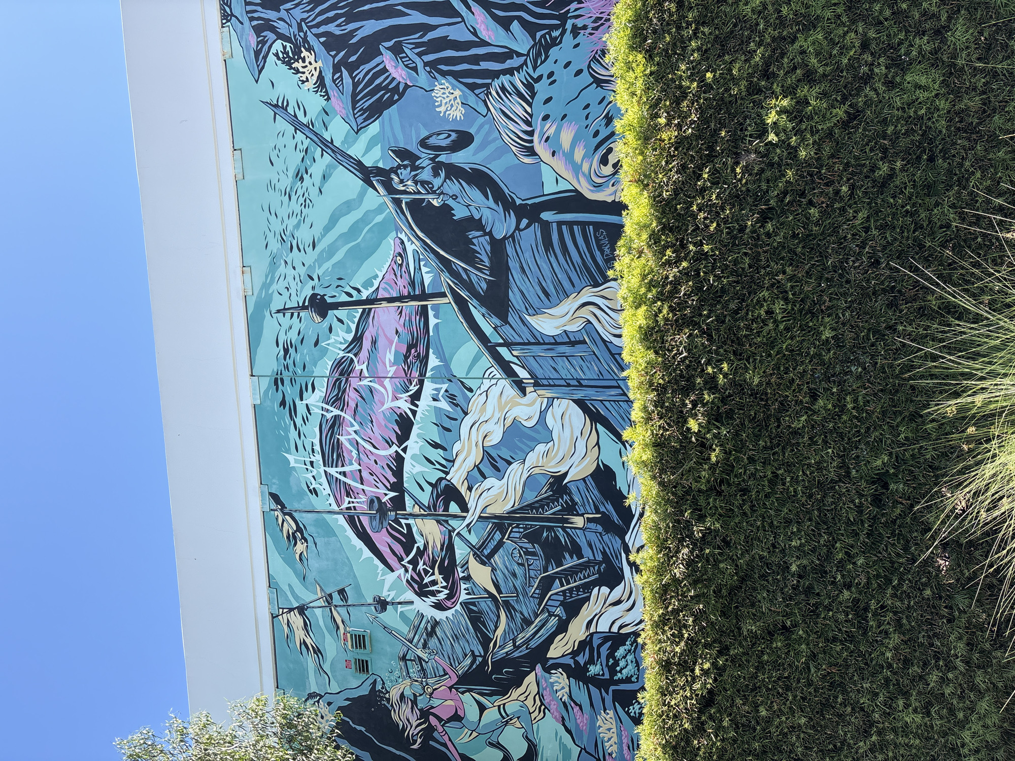 The vertically oriented image captures a vibrant mural on the side of a building, partially framed by lush green foliage and a clear blue sky. The mural itself depicts a dynamic underwater or seafaring scene, rendered in a graphic, stylized art style with a color palette dominated by blues, turquoises, purples, and blacks, accented with white, cream, and yellow.
The central action of the mural features a large, blue and purple-striped fish, resembling a marlin or swordfish, in energetic motion. Below it, a dark, stylized boat or ship structure with multiple spears or harpoons is shown, accompanied by swirling white and yellow elements suggesting smoke or powerful waves. Further down, a human figure, identified as a female diver or spearfisher in a pink suit and goggles, is depicted underwater, holding a speargun and actively participating in the scene. Smaller fish and coral-like formations fill the background, contributing to the busy, action-packed composition.
Along the entire right side of the frame, a dense, tall hedge of dark green foliage runs vertically, partially obscuring the mural. The top-left corner reveals a clear, bright blue sky, indicating a daytime setting. Some green tree leaves are also visible in the bottom-left. The mural includes the visible text "B. DAVIES" as an artist's signature on the side of the boat structure. The scene, located in Seal Beach, United States of America, conveys a dramatic sense of struggle, adventure, or a deep-sea hunt.