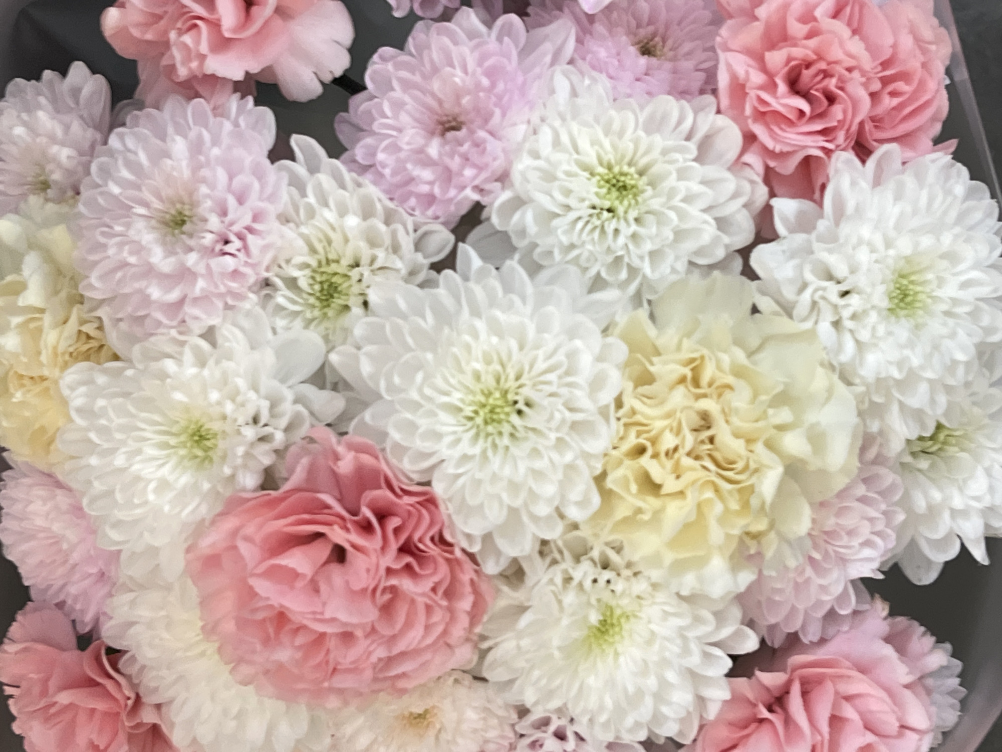 A close-up, top-down shot displays a vibrant bouquet of various flowers, predominantly in shades of pink, white, and yellow. The flowers appear to be a mix of chrysanthemums and possibly carnations, characterized by their ruffled petals and dense, circular blooms. The arrangement is lush, with petals overlapping and filling the frame, creating a soft, textured visual. No specific location in Krakow, Poland, or any people or actions are identifiable in this image.