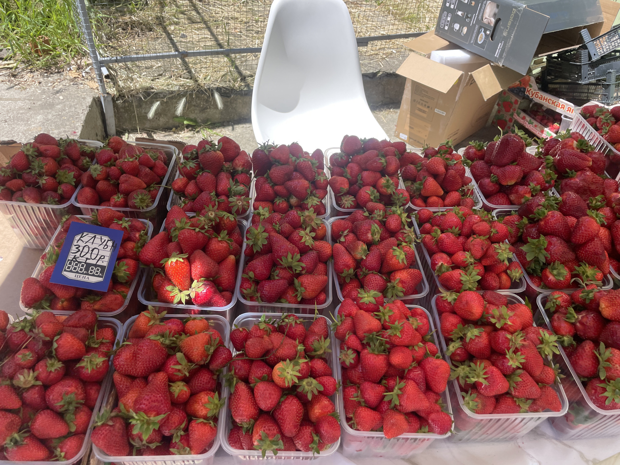 The image captures an outdoor market stall laden with an abundance of fresh strawberries, likely in Sochi, Russia. Numerous transparent plastic containers are filled to the brim with ripe, red strawberries of various sizes, many still featuring their vibrant green calyxes. The berries appear plump and ready for sale.
The scene suggests a sunny day, with bright light casting distinct shadows on the ground and objects, indicating a midday or early afternoon setting. The stall is positioned on a paved or concrete surface, with dry grass, sparse vegetation, and a metal fence visible in the background, reinforcing the outdoor, possibly informal market setting.
Behind the array of strawberries, a white, modern-designed chair is prominently placed. To the right, several cardboard boxes are stacked; one box clearly displays the brand name "Polaris" and another has partially visible Cyrillic text that appears to read "Кубанская яг...", likely part of "Кубанская ягода" (Kuban berry/strawberry), indicating a local origin.
A blue price tag is visible in one of the strawberry containers. The text on the tag reads "КЛУБ" (KLUB, likely an abbreviation for "клубника" – strawberry), "300p" (300 rubles), and "ЦЕНА" (TSENA – price). Below the main price, "888.88." is also visible, possibly a placeholder or an alternative pricing structure. The overall impression is that of a bustling local market, offering fresh produce directly to consumers.