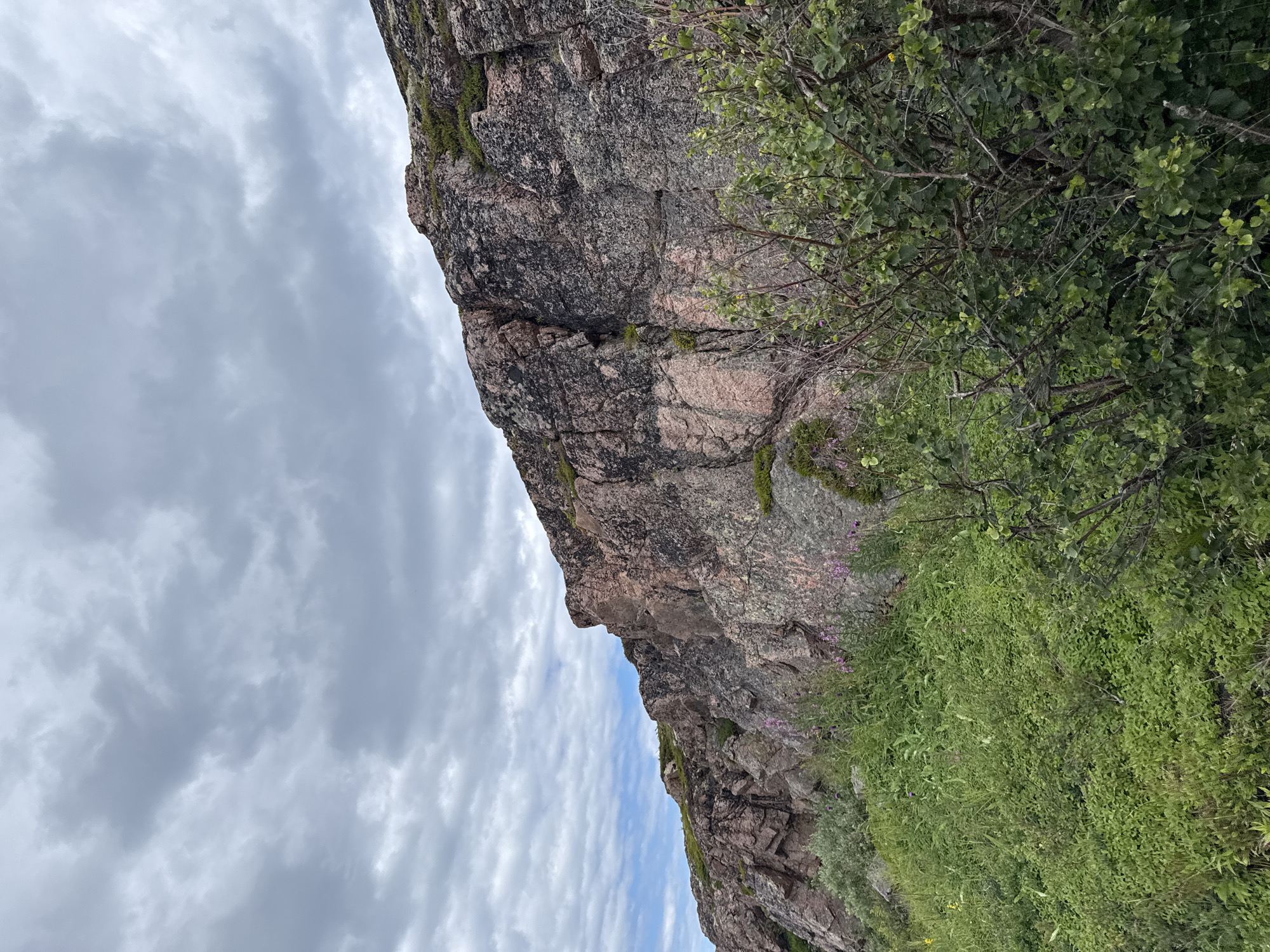 The image shows a rocky, overgrown hillside in Teriberka, Russia. The rocks are a mix of pink and gray, with patches of green moss and lichen. The vegetation is dense and includes various shades of green grasses, bushes, and some small purple flowers. The sky above is cloudy, with a mix of white and gray clouds. The scene appears to be a natural landscape, possibly a hiking trail or a scenic overlook. There are no people or man-made structures visible in the image.