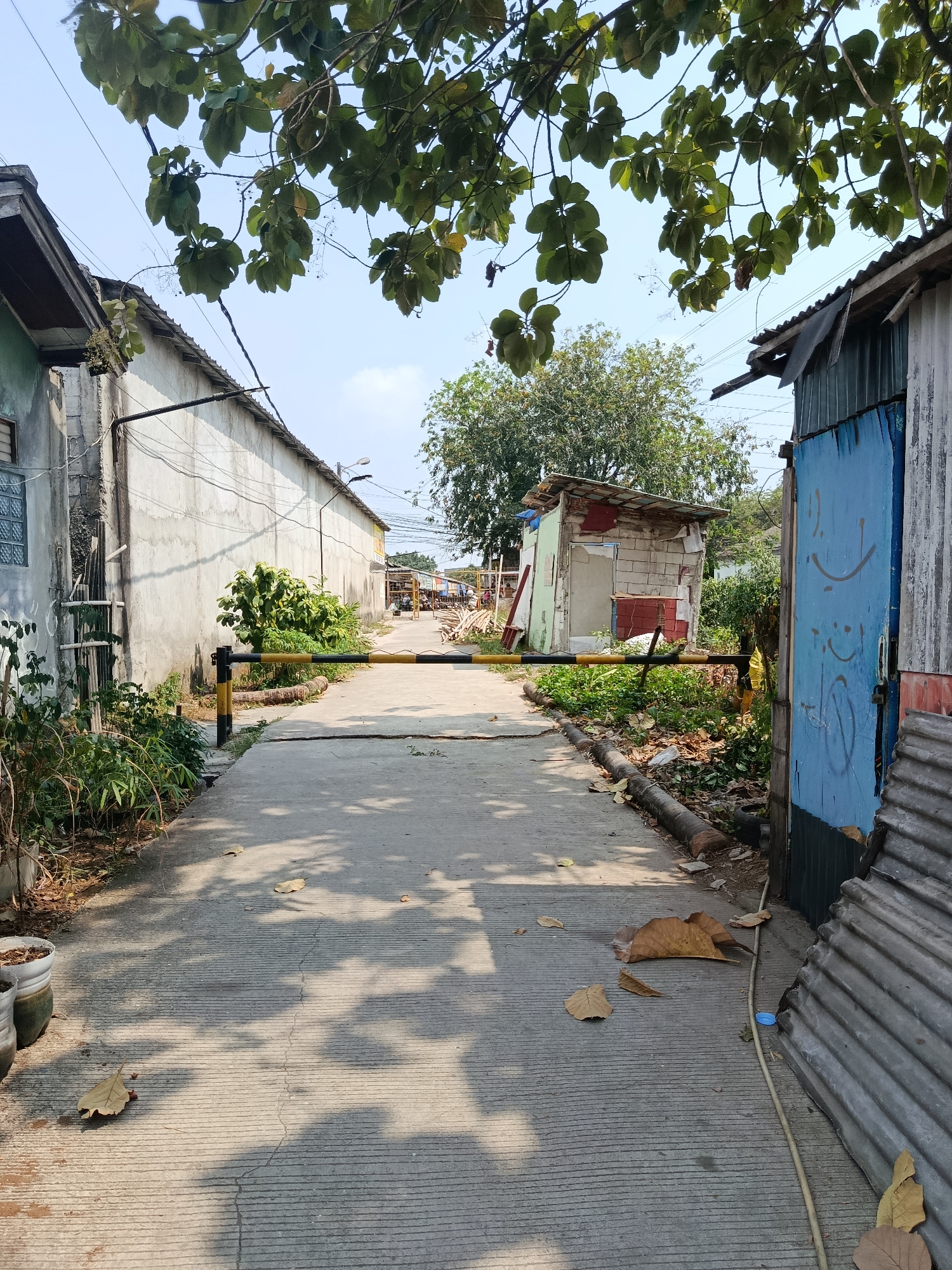 The image depicts a narrow, concrete pathway leading through a sparsely populated urban area, likely in Wanasari, Indonesia. Overhanging trees with large green leaves cast dappled shadows on the path. On the left, a long, light-colored building with a textured wall is visible, featuring a small, barred window. A metal gate structure with black and yellow stripes obstructs the path. To the right of the gate, a small, rudimentary shack with a corrugated metal roof stands, constructed from cinder blocks and some light-colored sheeting. Further to the right, a blue metal door with cartoonish faces spray-painted on it is set into a structure covered with corrugated metal. The ground is littered with dry leaves. In the distance, the path opens into a wider area with more buildings and what appear to be market stalls. The sky is clear and blue. There are no people visible in the immediate foreground or midground of the image.