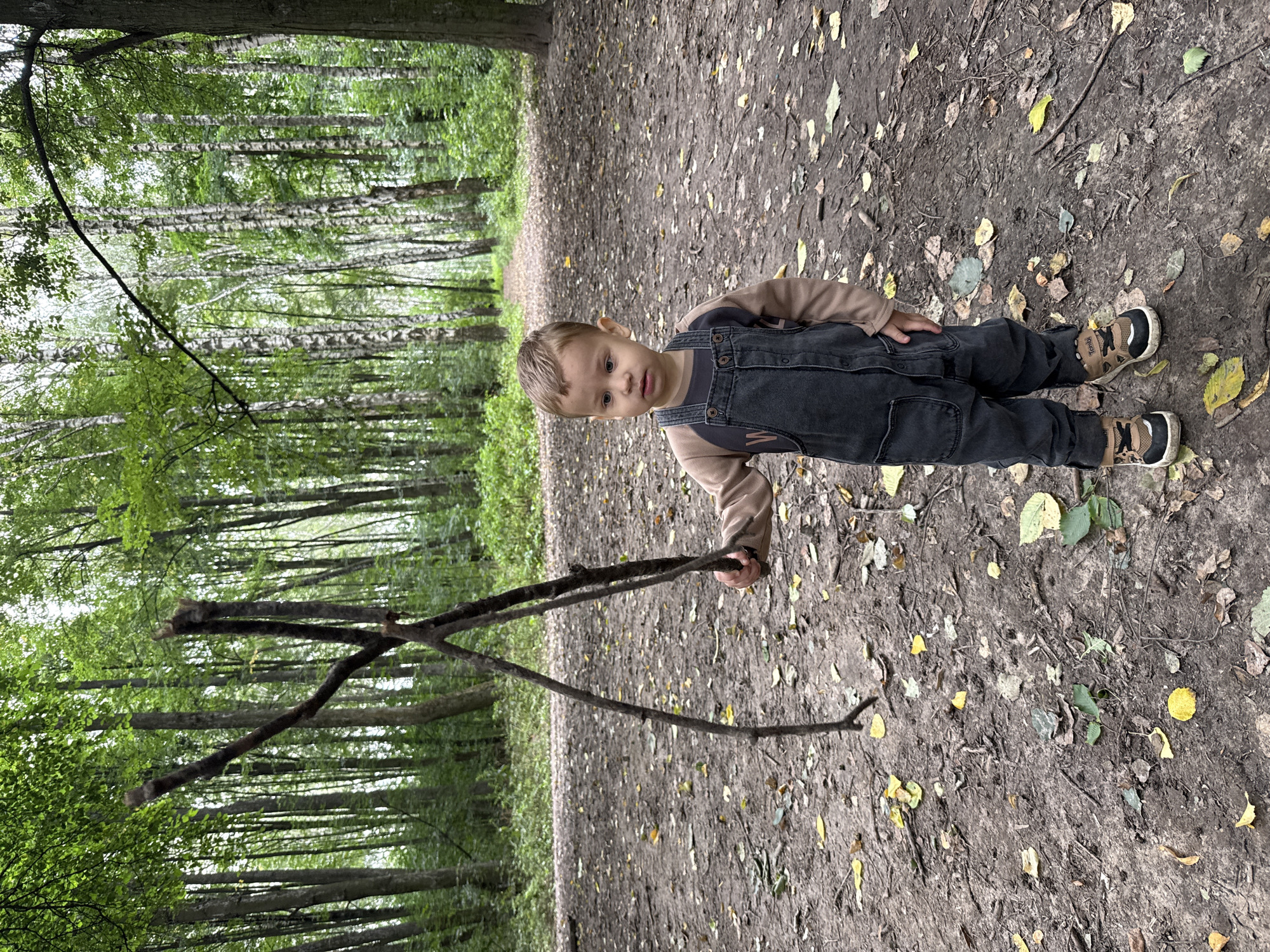 A young boy, approximately two to three years old, stands in a dirt path within a forest. He is wearing a tan long-sleeved shirt and dark grey overalls, along with black and tan sneakers. The boy is holding a Y-shaped stick upright in his right hand. The path is covered in dirt, fallen leaves, and small twigs. In the background, a dense forest with tall trees, predominantly birches, creates a canopy. The path extends into the distance, leading further into the woods. This scene is located in Dumino, Russia.
