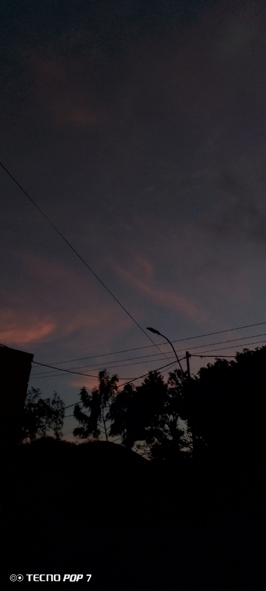 The image captures an outdoor scene at dusk or twilight in Altagracia, Venezuela, characterized by a dark, moody sky and prominent silhouettes. The sky dominates the upper portion of the frame, displaying a deep blue-grey hue with soft, elongated patches of pink and orange clouds, indicative of either sunrise or sunset. The overall low light conditions suggest it is evening.
Silhouetted against the fading light are various elements of the landscape. In the midground, numerous dark, dense tree canopies and individual branches are visible, forming a natural, irregular line across the lower half of the image. Several thin, dark lines, likely power or telephone wires, stretch across the sky, crisscrossing above the trees. A distinct streetlamp or utility pole, with its curved arm and light fixture, stands on the right side, also in silhouette. On the far left, a dark, angular silhouette of a building or structure partially frames the scene.
No people are visible, and no specific activity is taking place; the image presents a tranquil, observational view of the environment. The strong contrast between the dark foreground elements and the subtly colored sky creates a dramatic effect. In the bottom left corner, a white watermark is visible, reading "◎ TECNO POP 7," indicating the device used to capture the photograph.