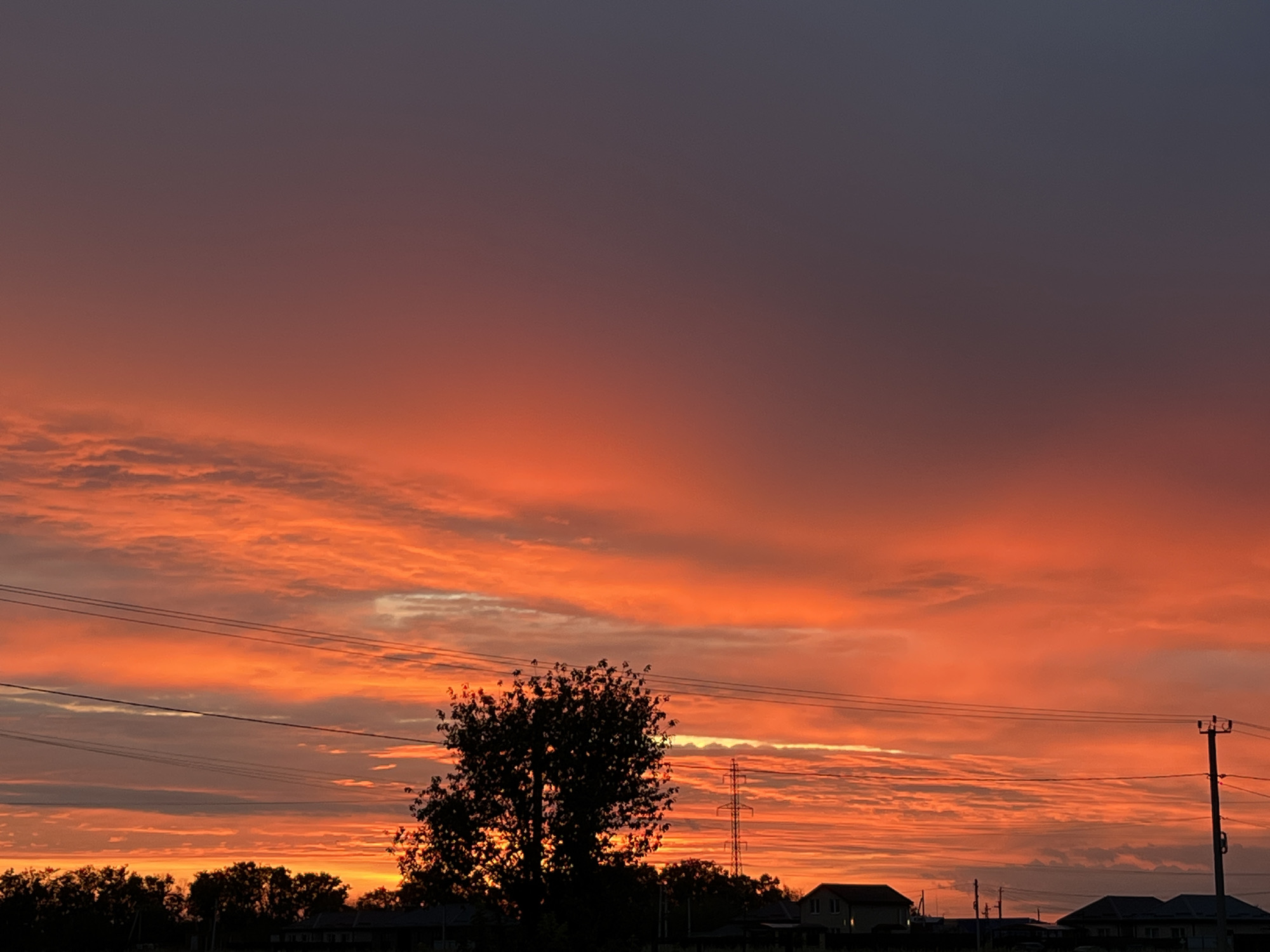 This is a landscape photograph taken at sunset in Taganrog City District, Russia. The sky is a dramatic gradient of colors, transitioning from a deep violet at the top to vibrant oranges and reds near the horizon, with scattered clouds catching the light. In the foreground, silhouetted against the bright sky, are the tops of trees, power lines stretching across the frame, and various structures that appear to be houses and utility poles. A lone, large tree stands prominently in the middle ground. The overall scene depicts a rural or suburban setting at dusk.