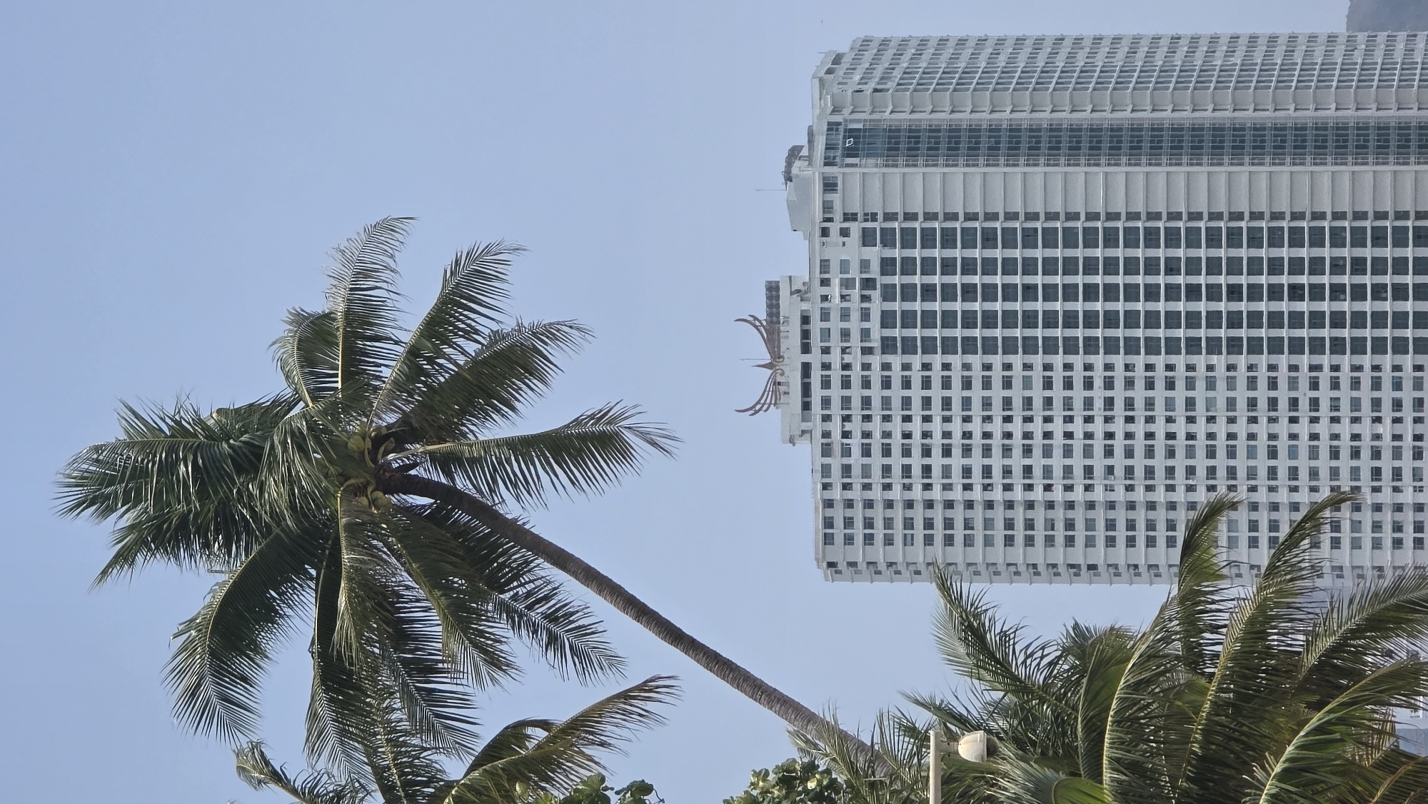 The photograph features a tall, white, rectangular building in Nha Trang, Vietnam. The building has a grid pattern of windows across its facade. To the left of the building is a tall palm tree with green fronds, the trunk bending towards the left. The sky is a clear, light blue. There are additional palm trees in the lower right corner. The image is taken from a low angle, looking upwards at the building and trees.
