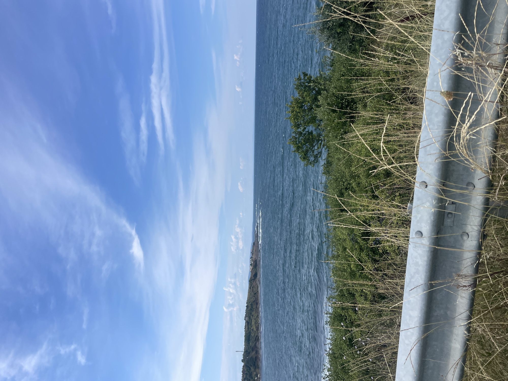 The image depicts a coastal scene on a clear, partly cloudy day, likely in or near Tsarevo, Bulgaria. In the foreground, a gray metal guardrail runs horizontally, partially obscured by dry, tall grasses and some green vegetation. Beyond the guardrail, the expanse of the Black Sea stretches out, its surface rippled by a gentle breeze. Along the distant coastline, a low, green, and hilly landscape is visible, dotted with scattered buildings and trees. A cell tower stands prominently on one of the higher points of the hills. The sky above is a vibrant blue, streaked with wispy white clouds. The overall impression is one of natural beauty and tranquility.