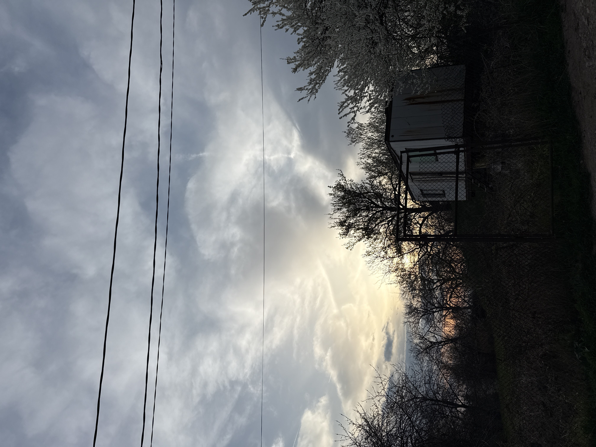 The image depicts an outdoor scene in Buhovo, Bulgaria. The viewpoint is looking upward, capturing power lines against a cloudy sky. A small white structure, possibly a shed, is partially visible behind a chain-link fence on the right side of the frame. Bare trees and blossoming branches frame the structure. The sky exhibits a gradient of light and dark clouds, suggesting sunrise or sunset. Vegetation is overgrown and unkempt on the right. The composition is dark and subdued, with limited details discernible in the shadows.