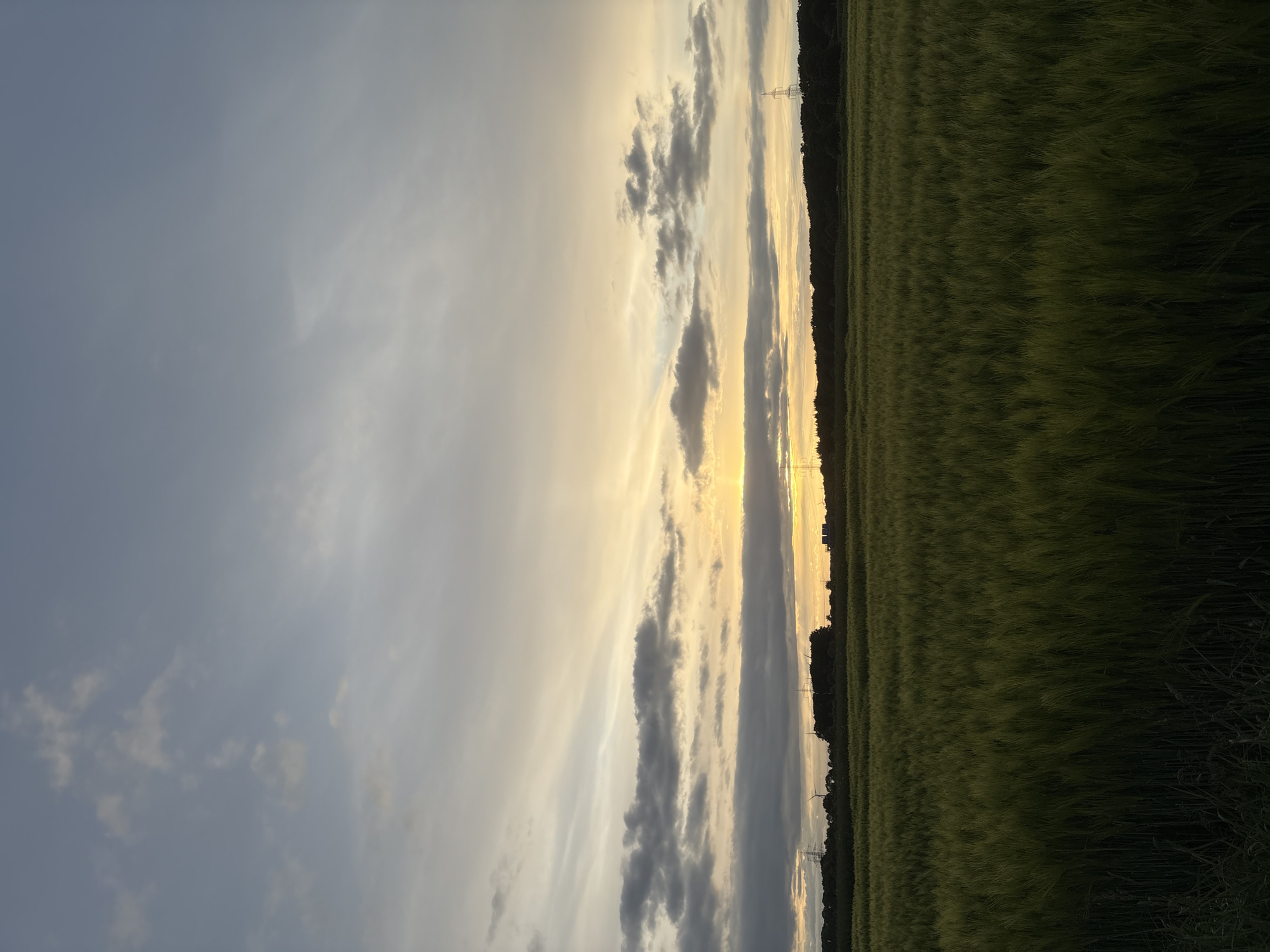 The image shows a field in Mönchengladbach, Germany, at sunset. The field of green crops occupies the right side, transitioning into a strip of trees. To the left is the sky filled with clouds, with a band of light from the setting sun. Electrical pylons are visible along the edge of the field.