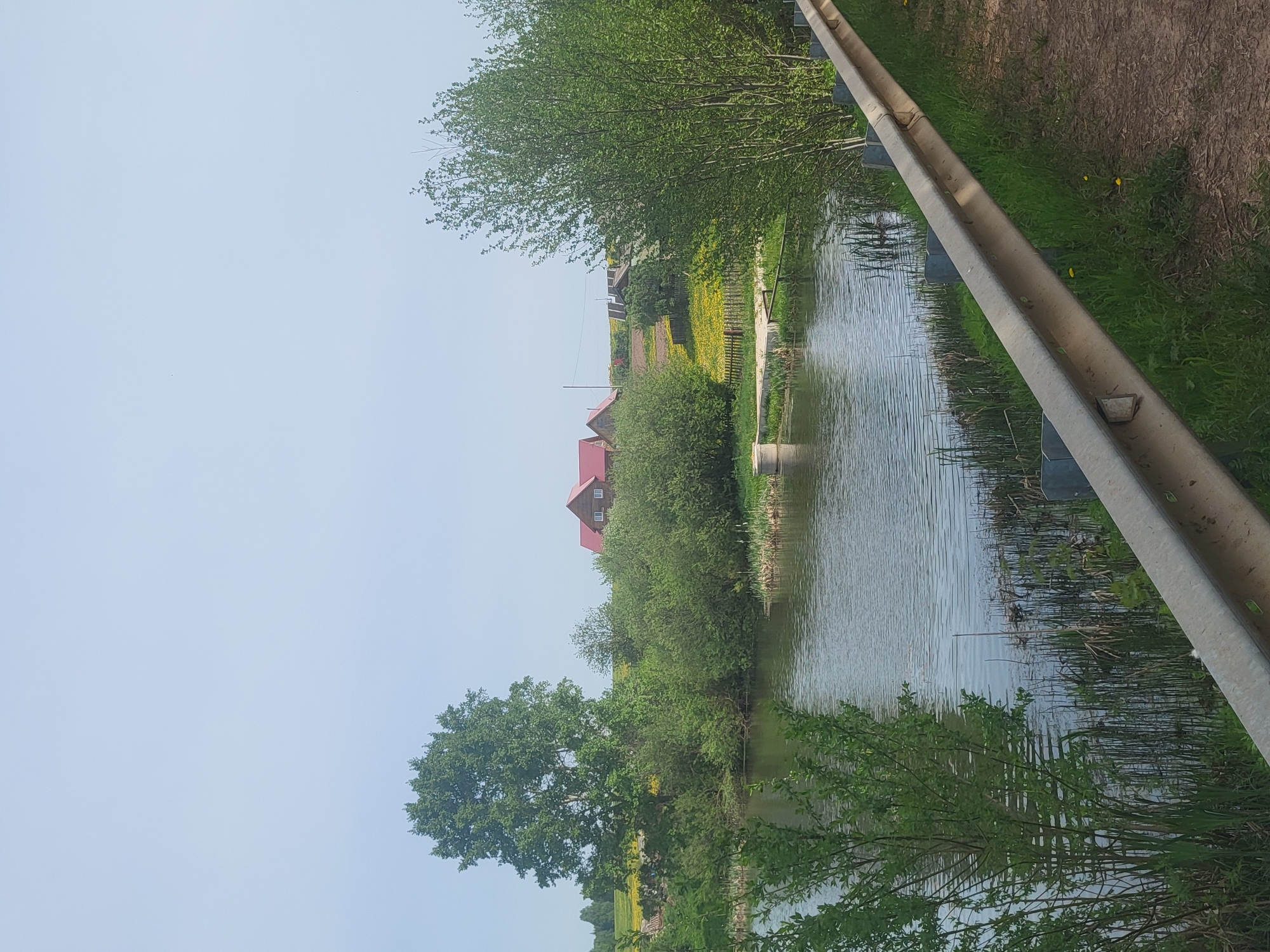 The image depicts a waterway in Зипуново, Russia, bordered by a metal guardrail on one side and lush greenery on the other. The waterway reflects the sky and surrounding vegetation, including reeds and trees. In the distance, a building with a red roof is visible beyond a dense green hedge and a wooden fence. The weather appears bright and clear.