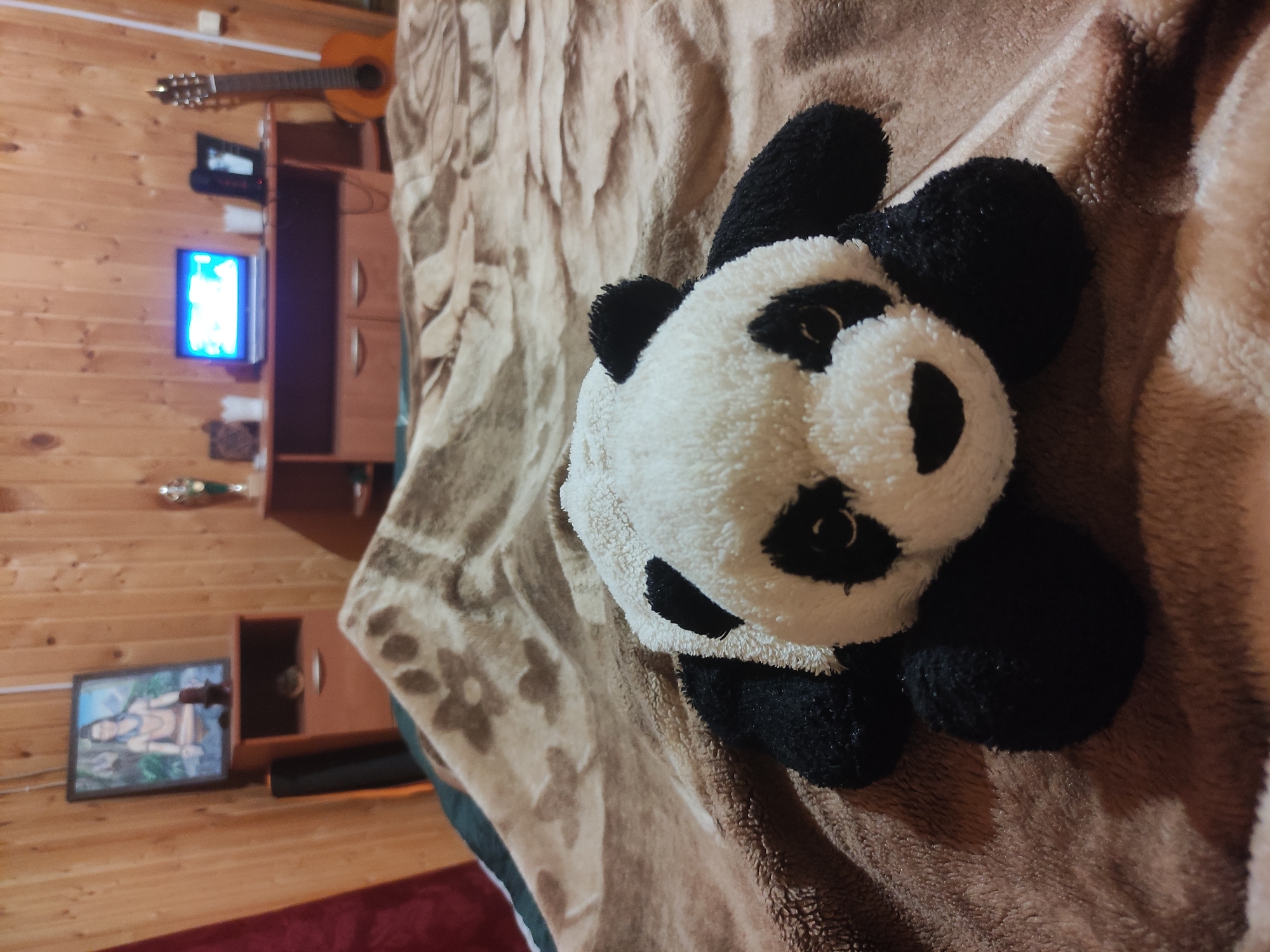 A stuffed panda toy is positioned on a patterned blanket. The background shows a room interior with wooden walls, a television, and a guitar on a shelf. A framed picture is on the floor, next to a wooden cabinet. The location is indeterminate.
