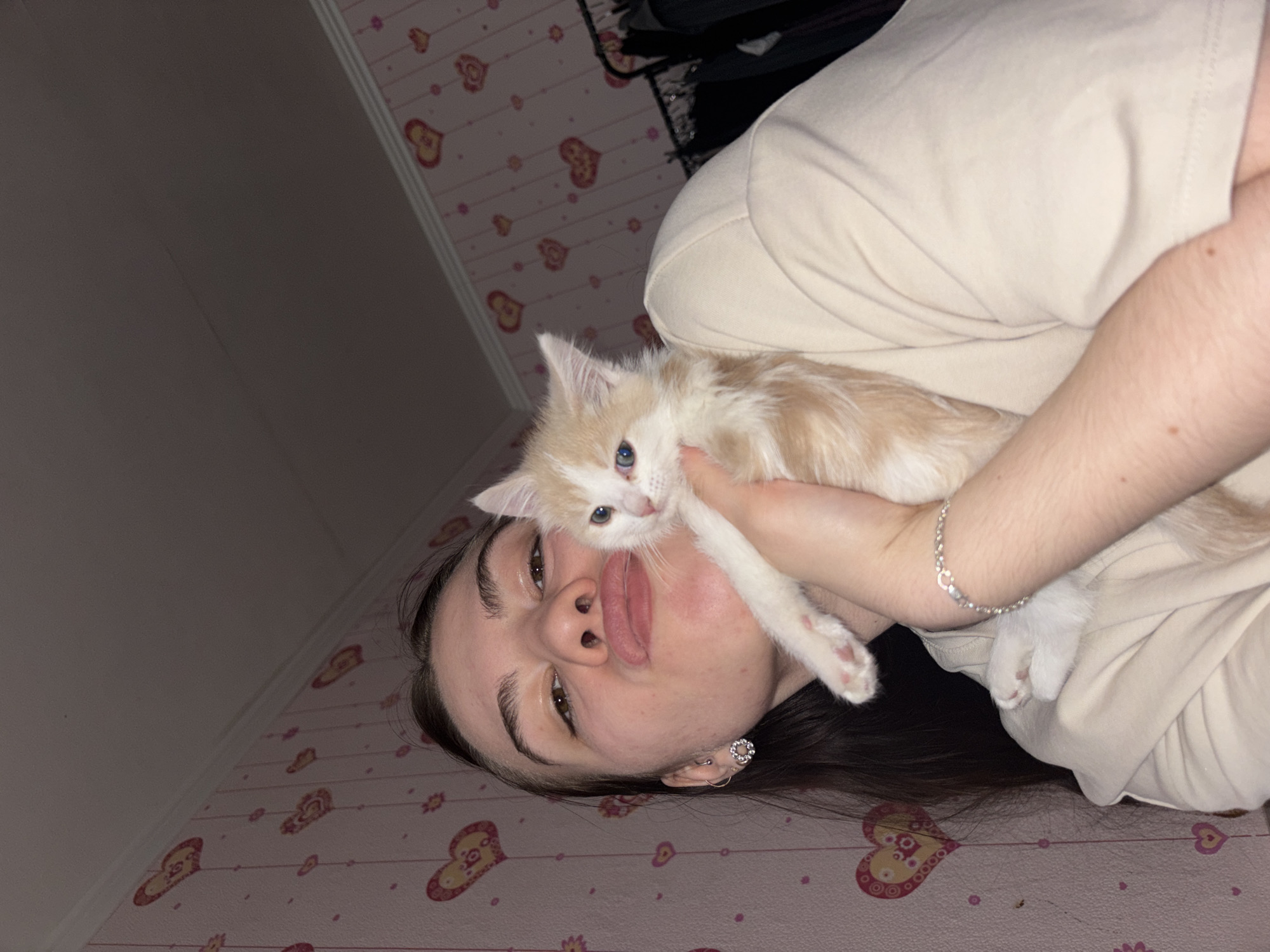 A young woman is depicted lying down, holding a small kitten close to her face in what appears to be an indoor setting in Perm, Russia. The image is taken from a slightly overhead perspective, with the woman's head tilted sideways and her long, dark hair spread out on the surface beneath her. She is wearing a light-colored, possibly cream or beige, short-sleeved top and has several earrings, including a detailed, possibly floral or heart-shaped one, and a simple silver hoop. A thin silver chain bracelet is visible on her right wrist. Her eyes are open and looking towards the camera, and her lips are slightly puckered in a playful expression.
Cradled in her arm and close to her face is a fluffy, light orange and white kitten with bright blue eyes. The kitten looks directly at the camera, with one of its tiny paws gently touching the woman's mouth. The kitten appears calm and comfortable in her embrace.
The background consists of two distinct wall sections. To the right and beneath the woman's head is a pink wallpaper patterned with multiple hearts in shades of pink, red, and gold, suggesting a personal and perhaps youthful living space. To the left, a plain, dark grey or off-white wall is visible. Some dark fabric, possibly clothing or bedding, can be seen in the upper right corner of the frame. The lighting in the image is somewhat dim, suggesting an indoor evening or night setting. No visible text is present. The overall mood is intimate and affectionate.