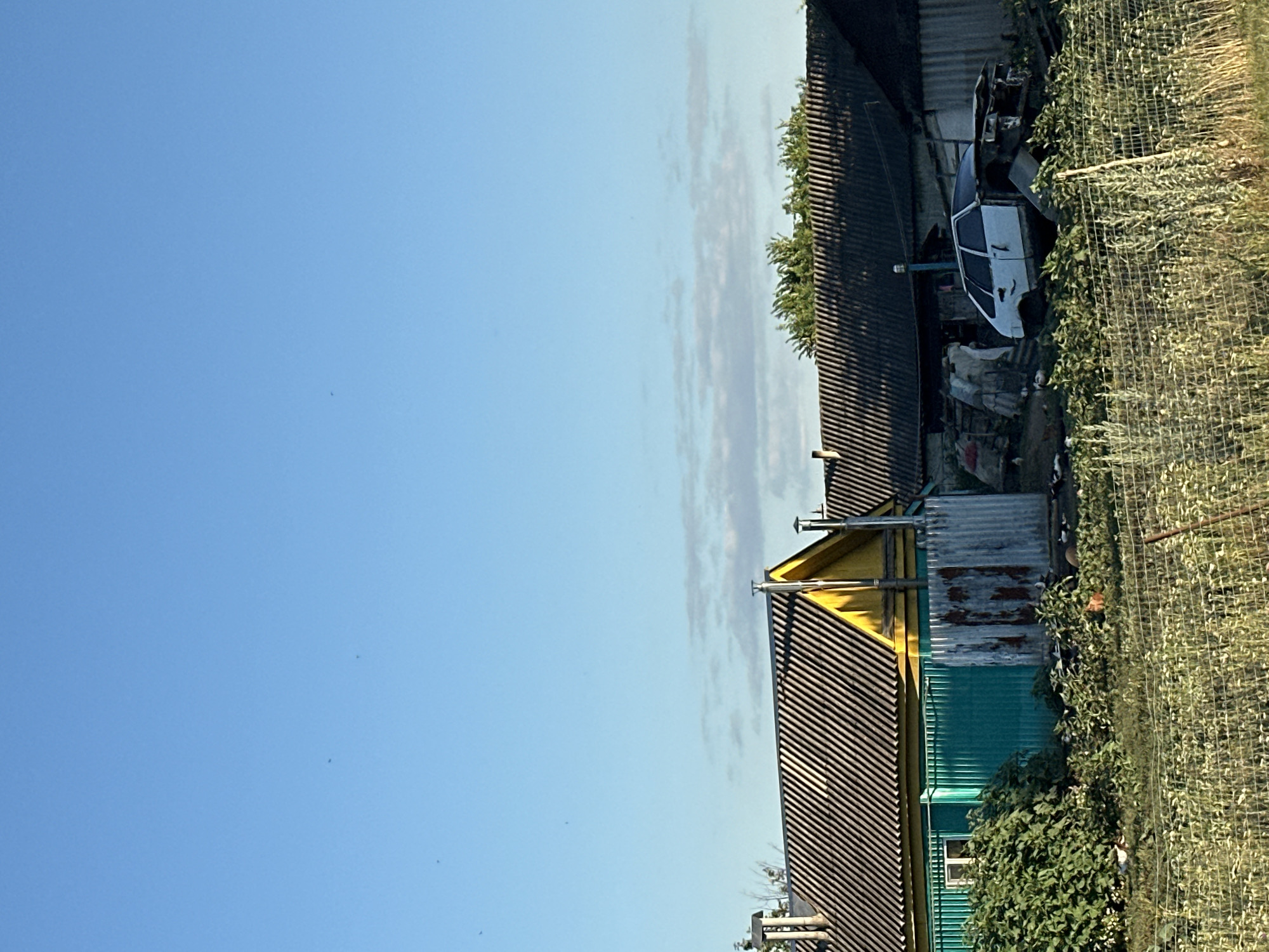 This image depicts a rural scene in Mikhaylovskiy, Russia, under a clear blue sky with scattered clouds. In the foreground, a wire fence encloses an overgrown area with various plants and some indistinct objects. Behind the fence, a white car, appearing to be in a state of disrepair, is partially obscured by dense green foliage. Further back, a long, dark-colored building with a corrugated roof runs horizontally across the frame. To the left, a brightly colored building with a yellow upper section and a teal lower section is visible, featuring a striped, dark-colored roof. Adjacent to this structure is a section of rusty, corrugated metal sheeting. The overall impression is one of a somewhat neglected yard in a rural settlement.