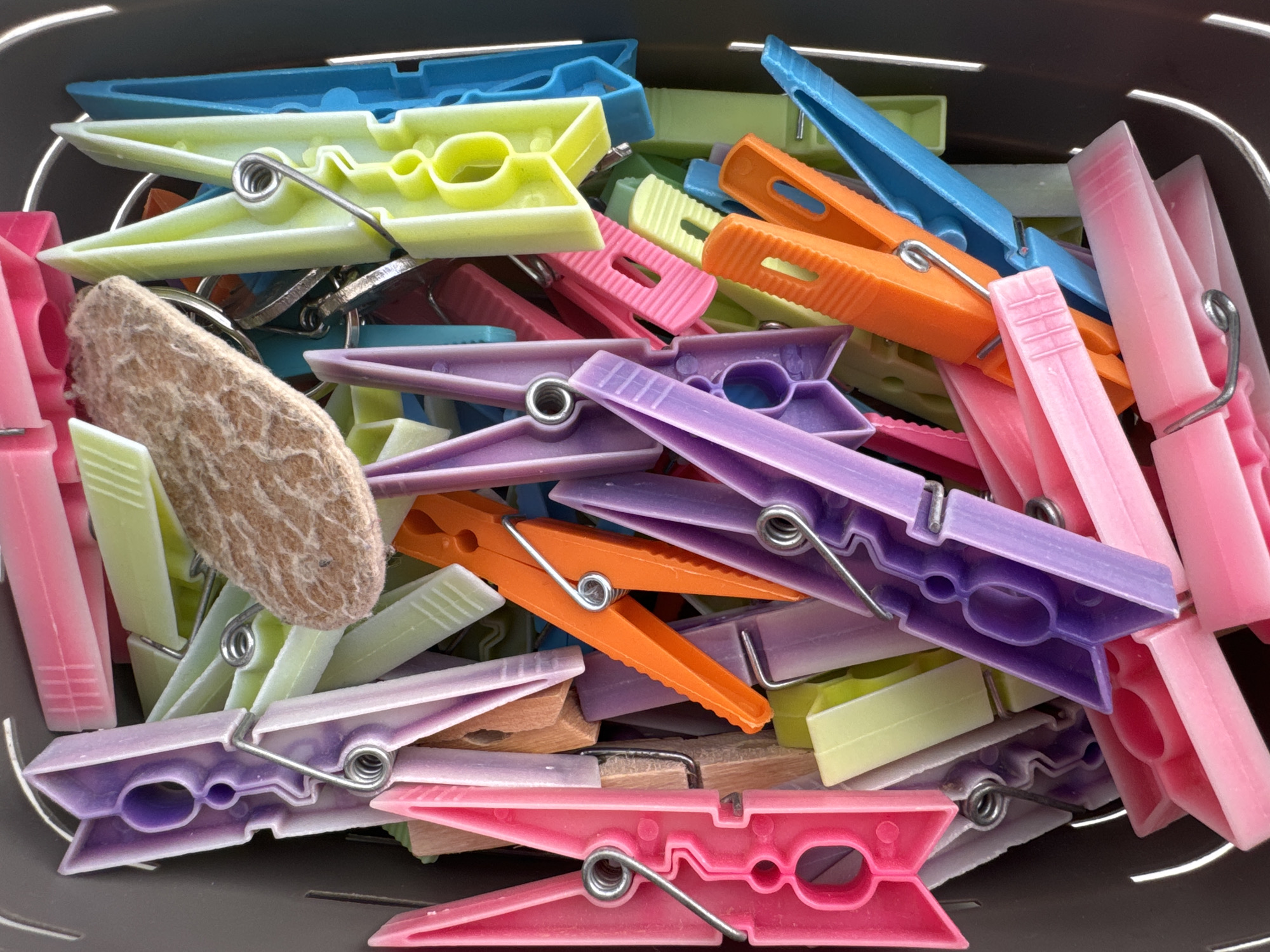 The image is a close-up, overhead shot of a dark gray plastic container filled with brightly colored plastic clothespins. The clothespins are a mix of pink, purple, orange, lime green, and light blue. They are piled loosely in the container, with some overlapping and others showing their metal springs. A small, rough, brown object, possibly a piece of felt or textured wood, rests on top of some of the clothespins towards the upper center of the image. The lighting creates shadows, highlighting the textures and shapes of the objects. The scene is an indoor still life. There are no people, animals, or visible urban elements. This image does not depict any recognizable landmarks or scenes from Murcia, Spain.
