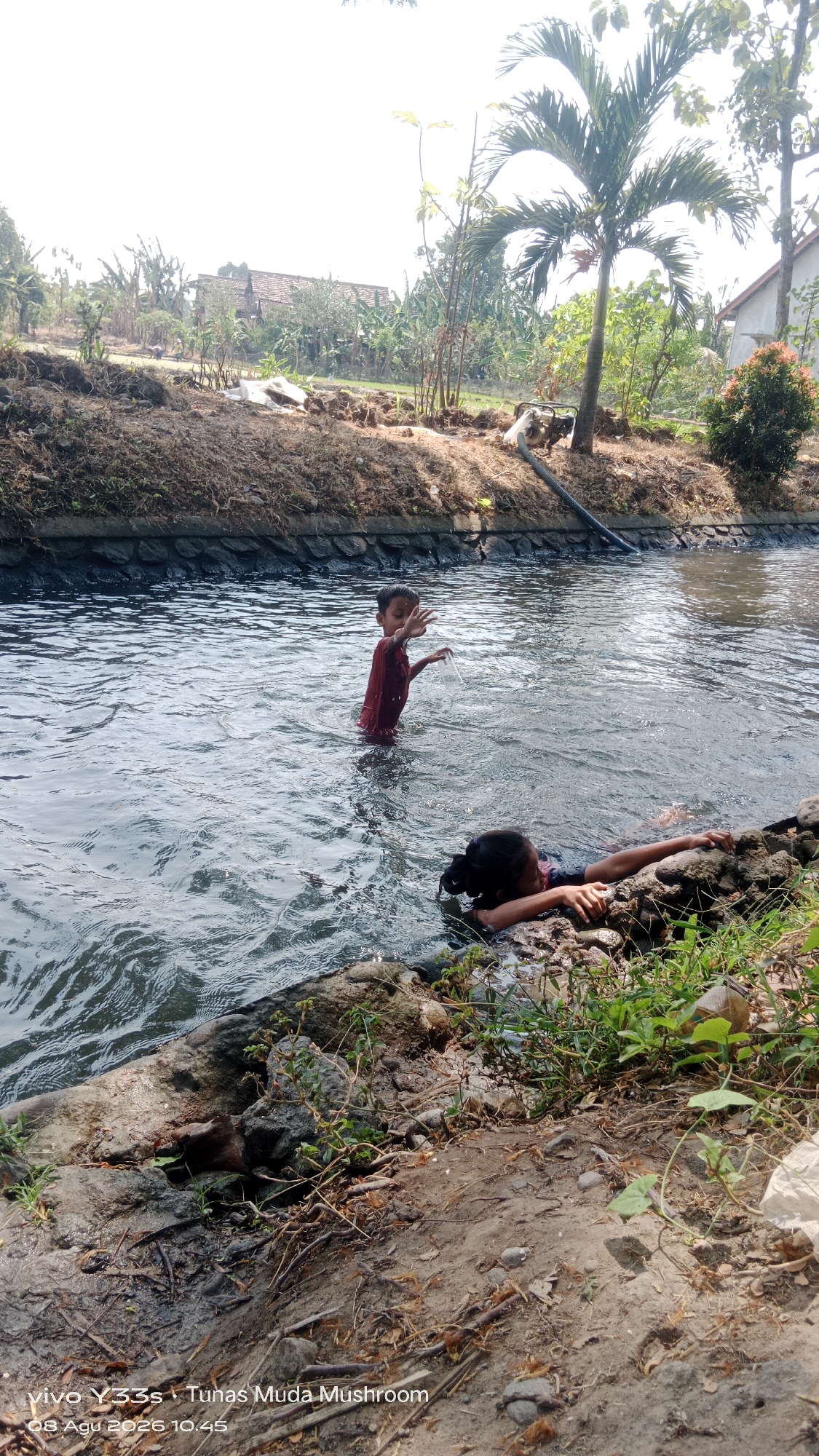 Two children are playing in a canal. A boy wearing a red shirt stands in the middle of the canal, his arms outstretched. A girl is partially submerged in the water, holding onto rocks on the canal's edge. The canal is surrounded by dry earth and some vegetation. In the background, there are trees, some buildings, and a palm tree. The sky is bright and overcast. The timestamp at the bottom of the image indicates it was taken on August 3, 2026, at 10:45 AM. The text "vivo Y33s · Tunas Muda Mushroom" is also visible. The scene appears to be a rural or semi-rural area, possibly on the outskirts of a city.
