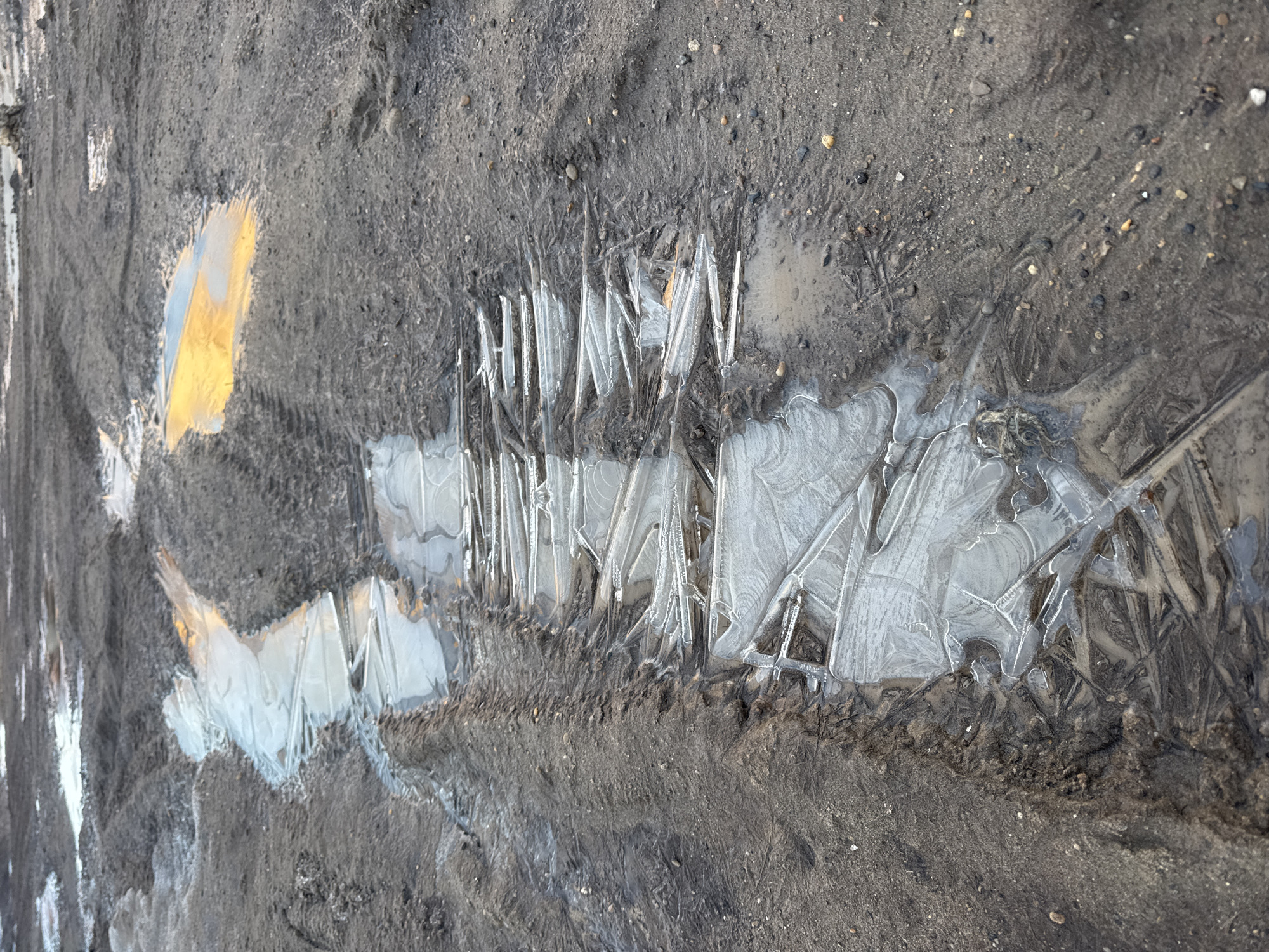 The image depicts a muddy surface in what appears to be an outdoor environment. A thin layer of ice has formed on top of the mud, creating intricate patterns and crystalline structures. Some vertical ice formations are observed. A patch of what may be a reflection or another material (possibly a yellow liquid) is present in the mud near the left side. The setting is a muddy patch of land. The photograph was most likely taken in Chaikovsky, Russia. The environment is cold enough to allow ice formation. No people, actions or interactions are visible in the image.
