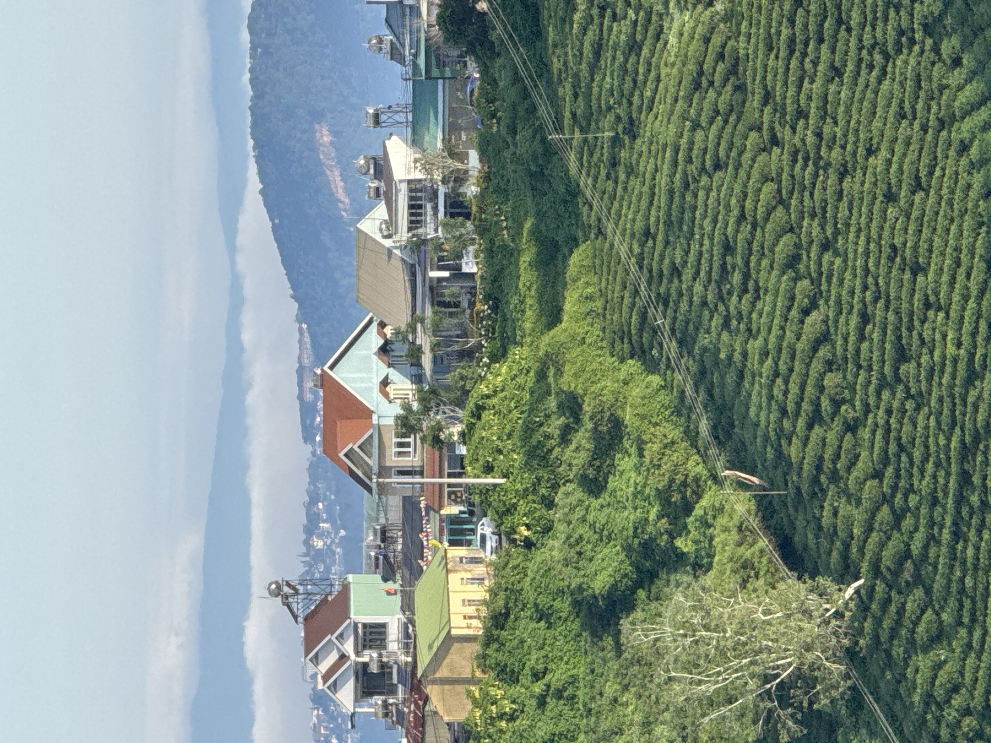 This image depicts a rural landscape in Trường Thọ, Vietnam, characterized by rolling hills covered in lush green tea fields. Several houses with distinct architectural styles, some featuring red tiled roofs and solar water heaters, are nestled on the slopes. A white car is visible parked in front of a yellow house. Power lines crisscross the scene, strung between poles. The background is dominated by layers of misty mountains, suggesting a high-altitude location. The sky is a pale blue with scattered clouds. The overall scene conveys a sense of peaceful, agricultural life in a scenic, mountainous region.